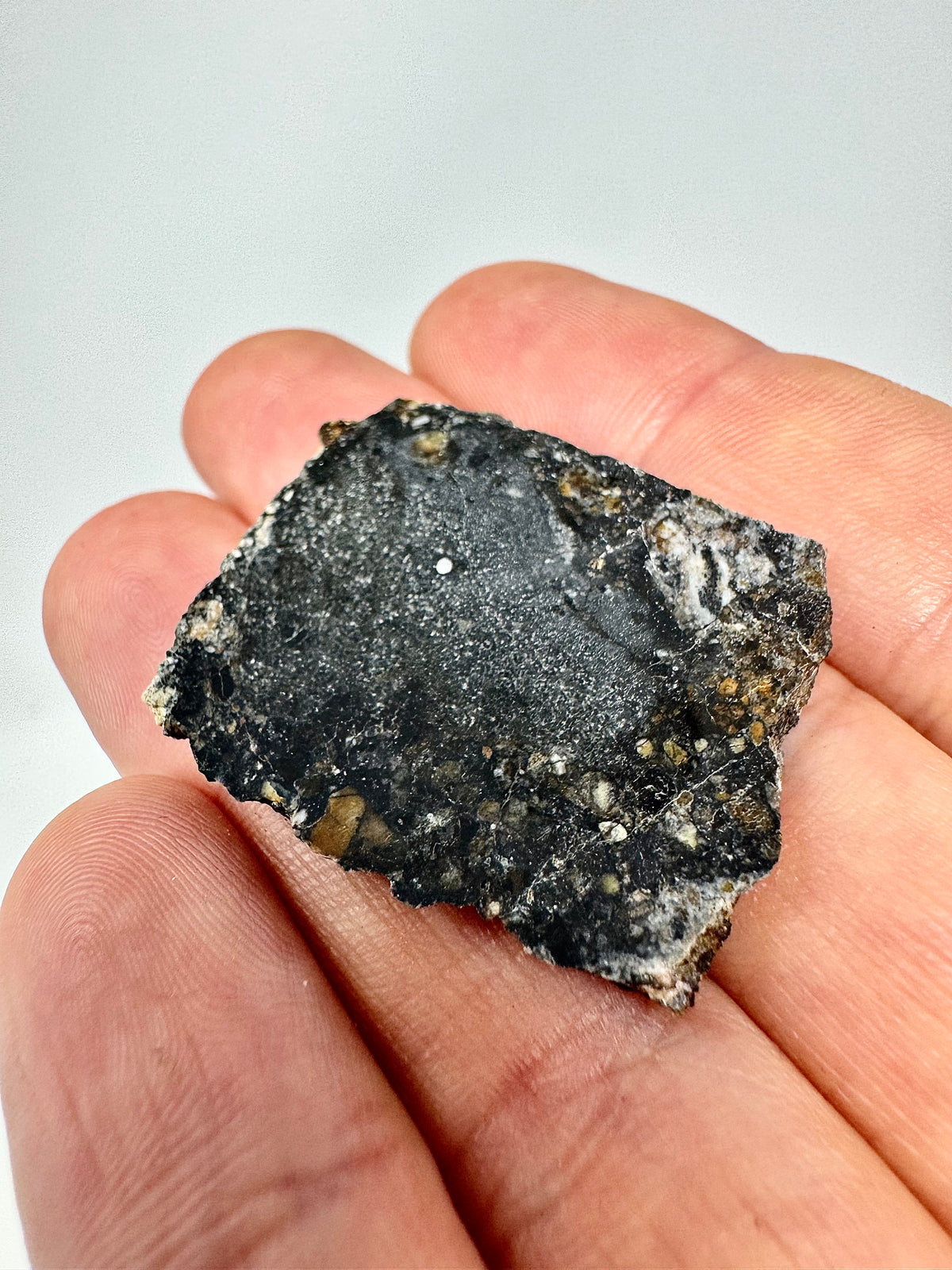 NEW: 7.1g Personal Classification of NWA 18785 Aubrite - Fragmental Monomict Breccia, Enstatite Achondrite Meteorite w/ Metal Inclusion! Evidence of Possible Linkage To Planet Mercury