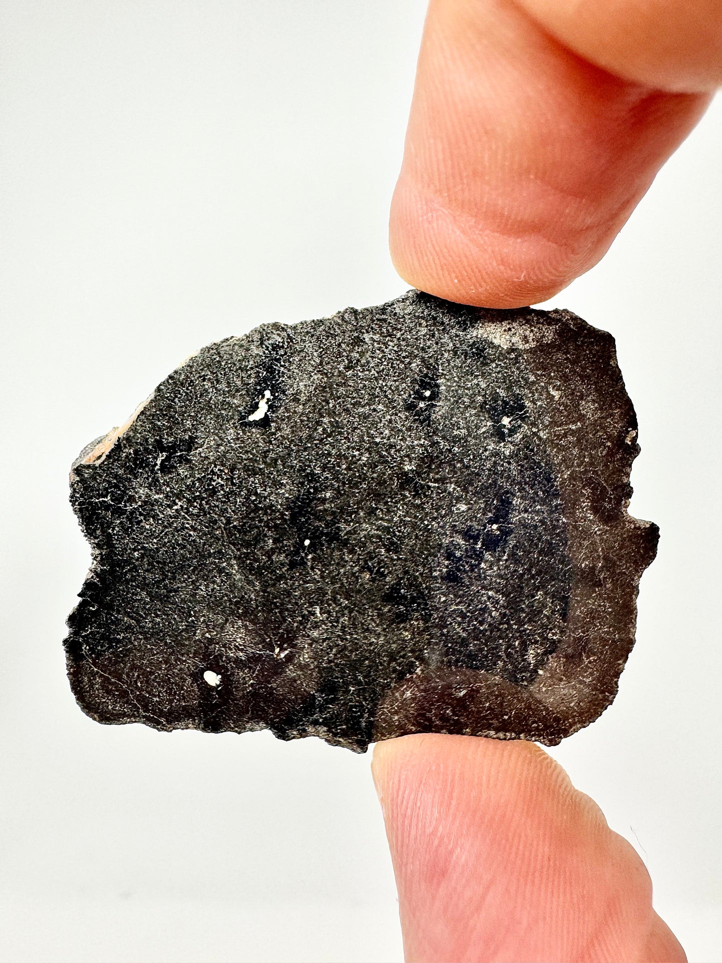12.2g Genuine Martian Meteorite with Aqueous Alteration - NWA 18281 - Scientifically Studied Rock From Planet Mars