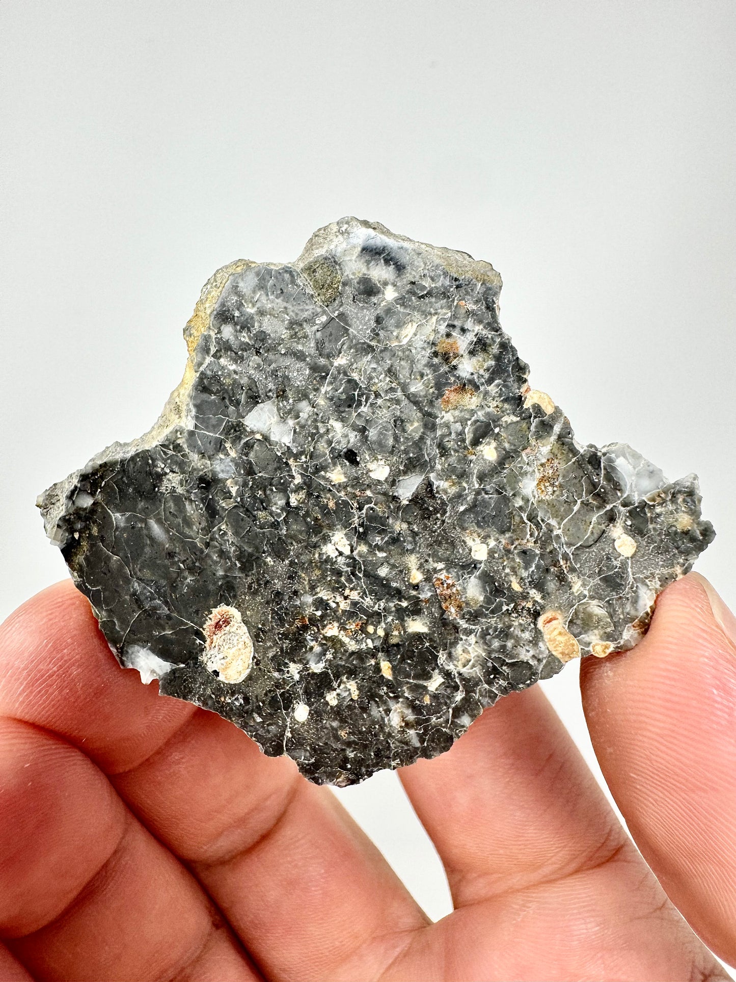 12.7g Adrar 017 Lunar Meteorite - A Rare Gabbro/Norite - From Our Moon!