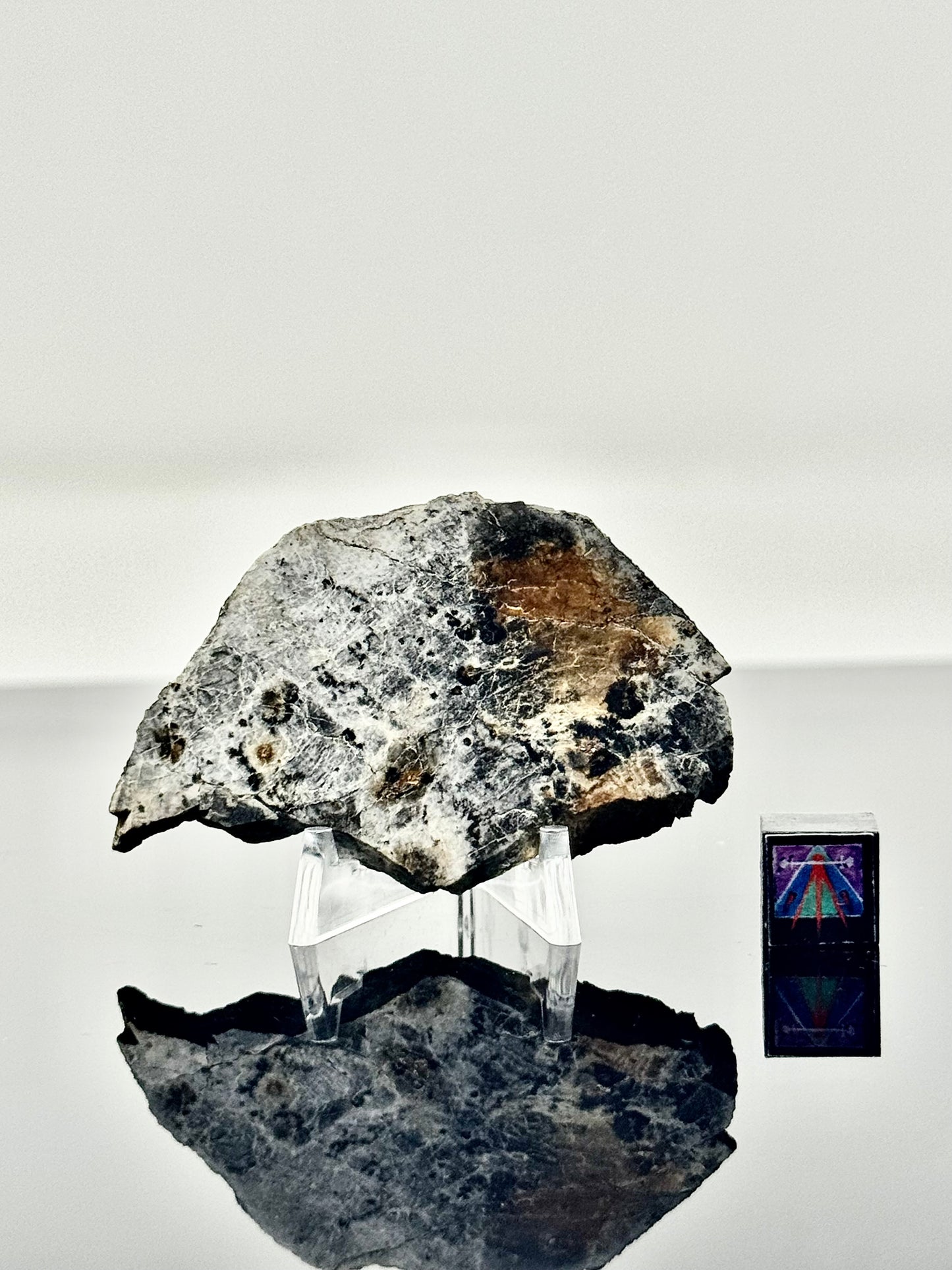 20.7g Djoua 001 Enstatite Achondrite Meteorite - Thick Cut! Evidence of Planet Mercury - Marble Appearance