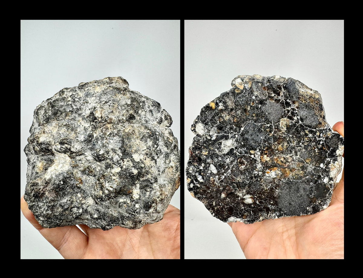 NEW/MAIN MASS/FLUORESCES! 431.5g Jaw-Dropping Personal Classification of NWA 18785 Aubrite - Fragmental Monomict Breccia, Enstatite Achondrite Meteorite - Evidence of Possible Linkage To Planet Mercury