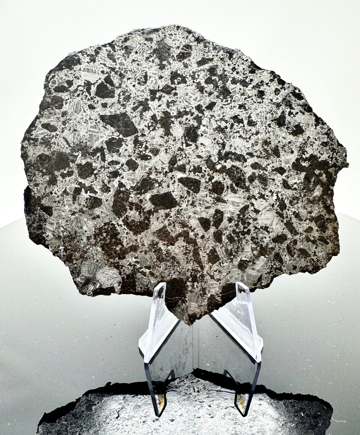 NEW! 228.6g Extremely High Iron Winonaite Meteorite Under Study - A Primitive Achondrite!
