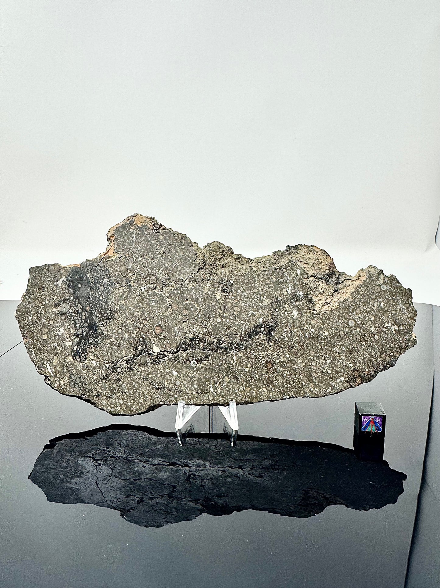 73.1g Stunning FULL SLICE of NWA 3118 CV3 Carbonaceous Chondrite Meteorite