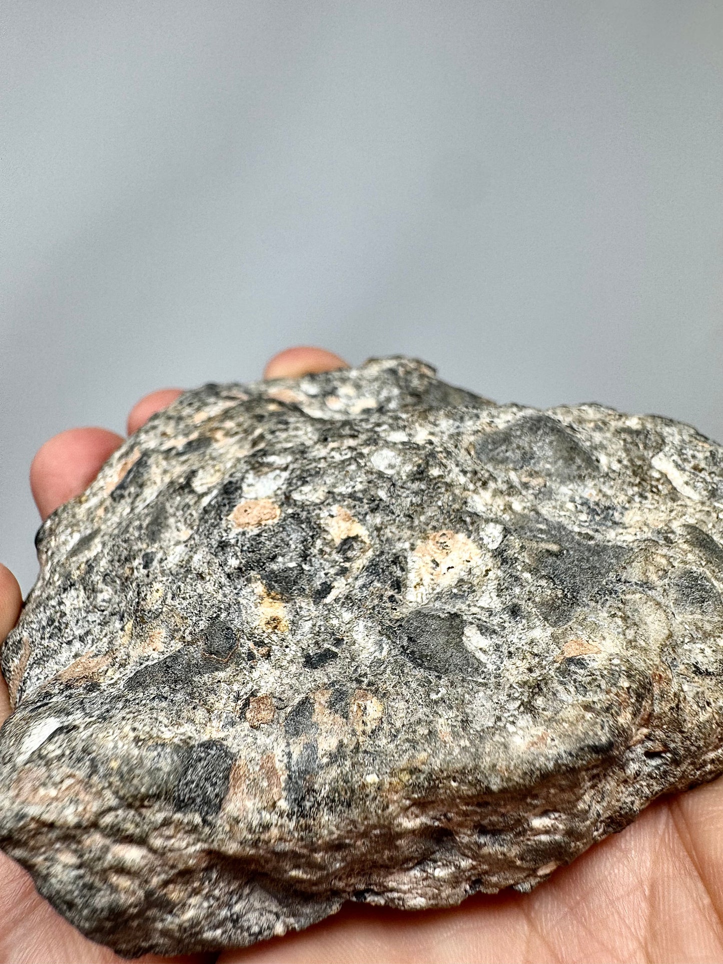NEW!  223.9g END CUT (Second Largest Mass) Jaw-Dropping Personal Classification of NWA 18785 Aubrite - Fragmental Monomict Breccia, Enstatite Achondrite Meteorite - Evidence of Possible Linkage To Planet Mercury