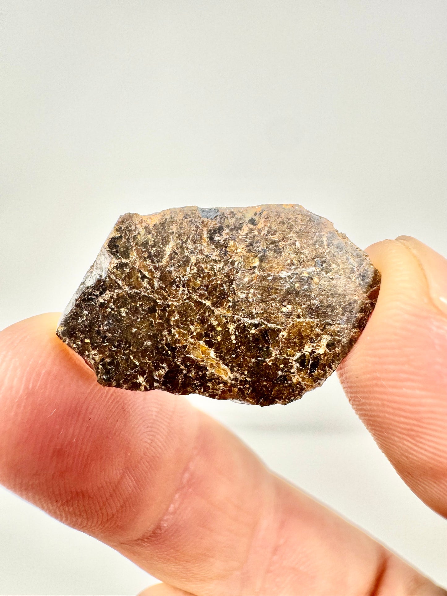 2.4g NWA 16317 Diogenite Meteorite - Parent Body: Asteroid Vesta