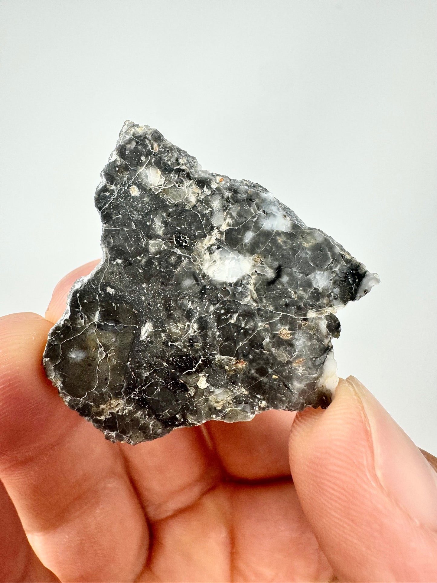 5.7g NWA 17270 Lunar Melt Breccia Meteorite - From Our Moon!
