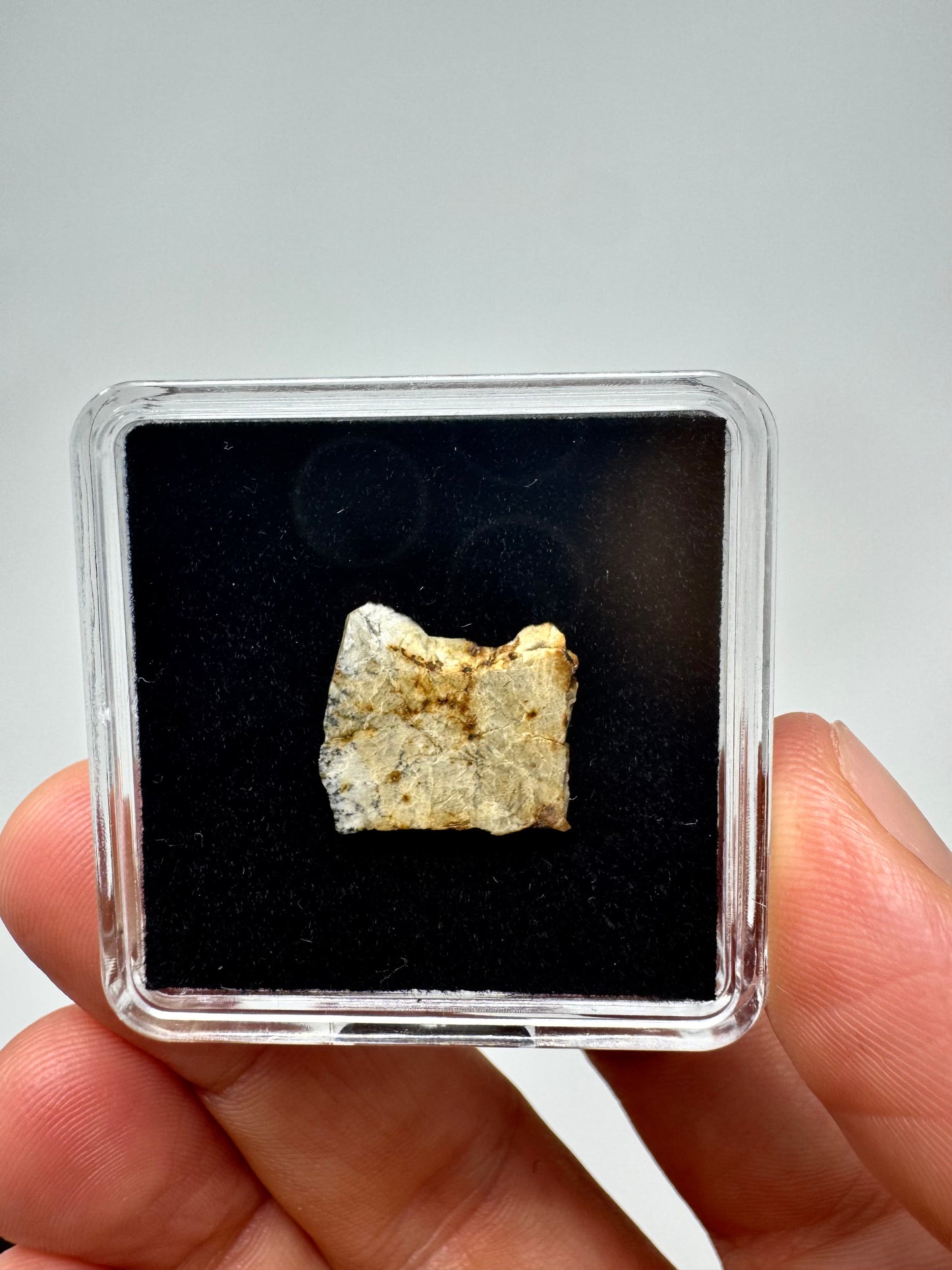 1.2g Djoua 001 Enstatite Achondrite Meteorite - Evidence of Planet Mercury - Marble Appearance