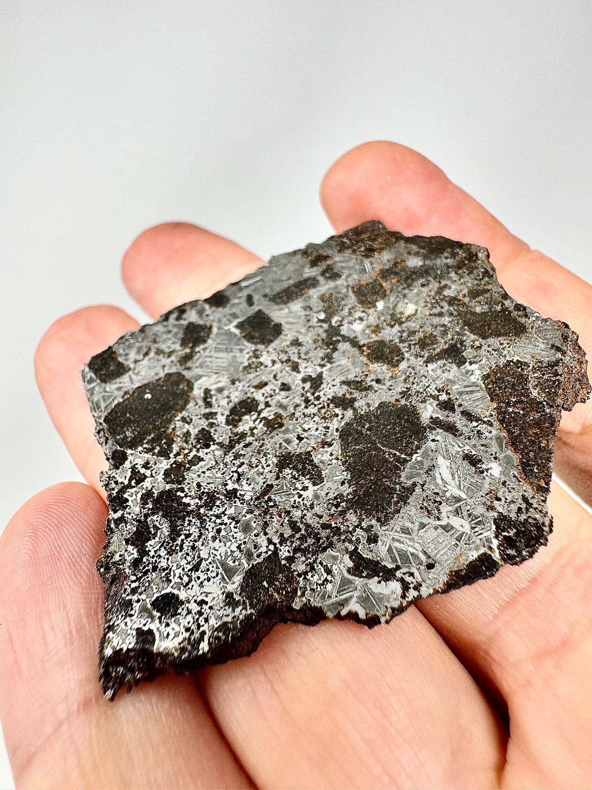 NEW! 32.7g Tessalit 001 - Extremely High Iron Winonaite Meteorite Under Study - A Primitive Achondrite!