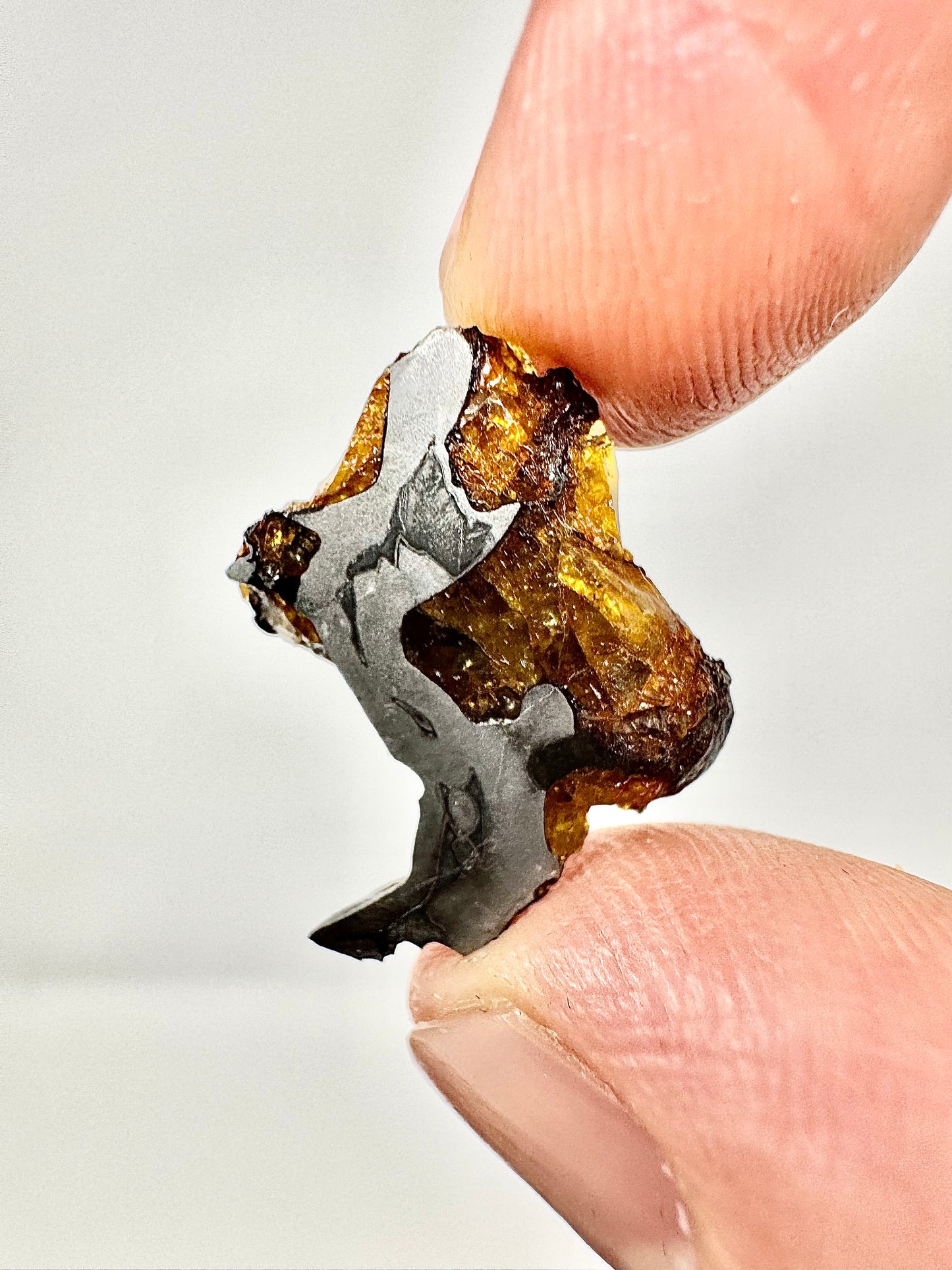 2.1g Imilac Pallasite Meteorite - Discovered in 1822 in Chile!