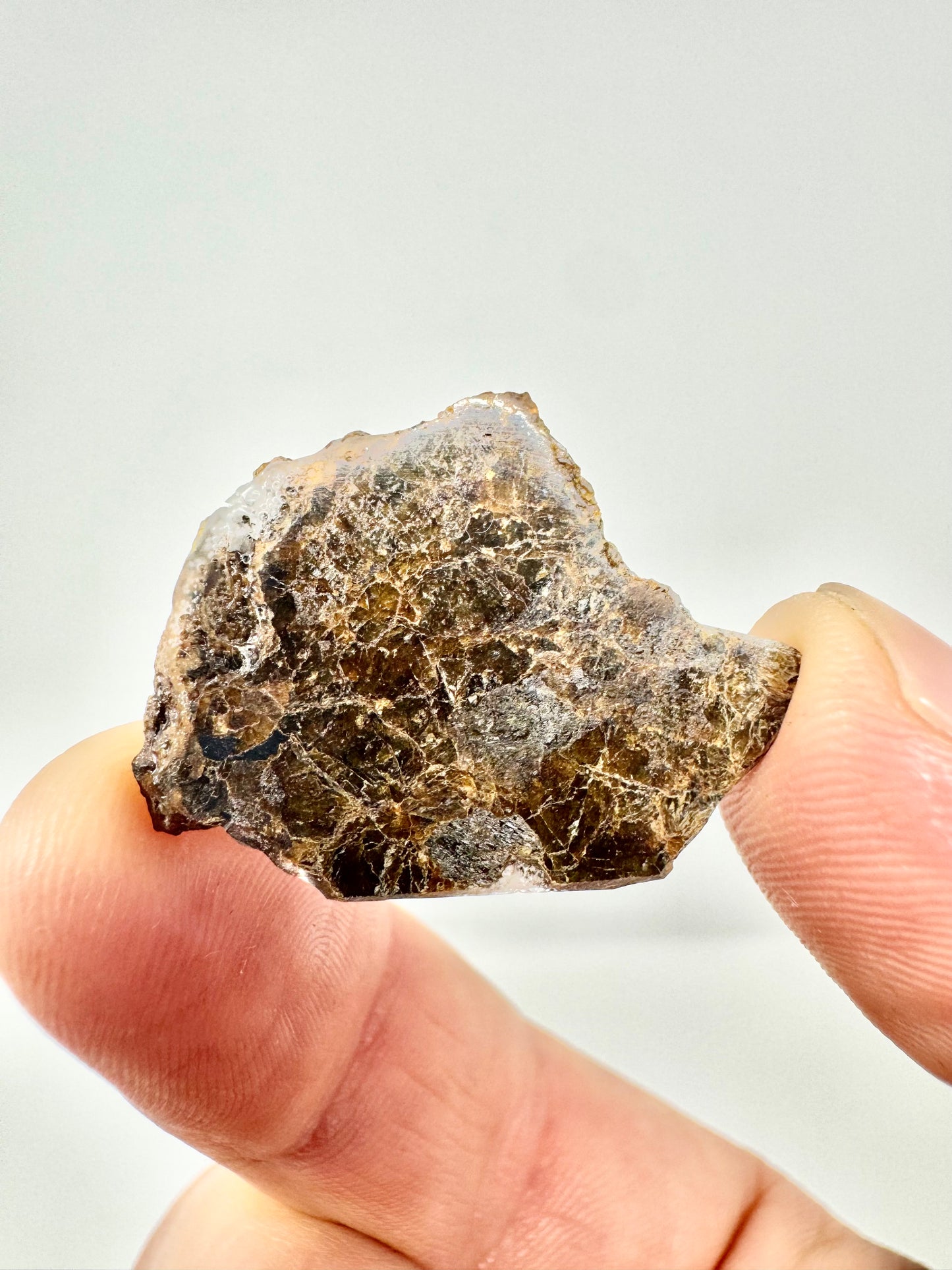 2.9g NWA 16317 Translucent Diogenite Meteorite - Parent Body: Asteroid Vesta