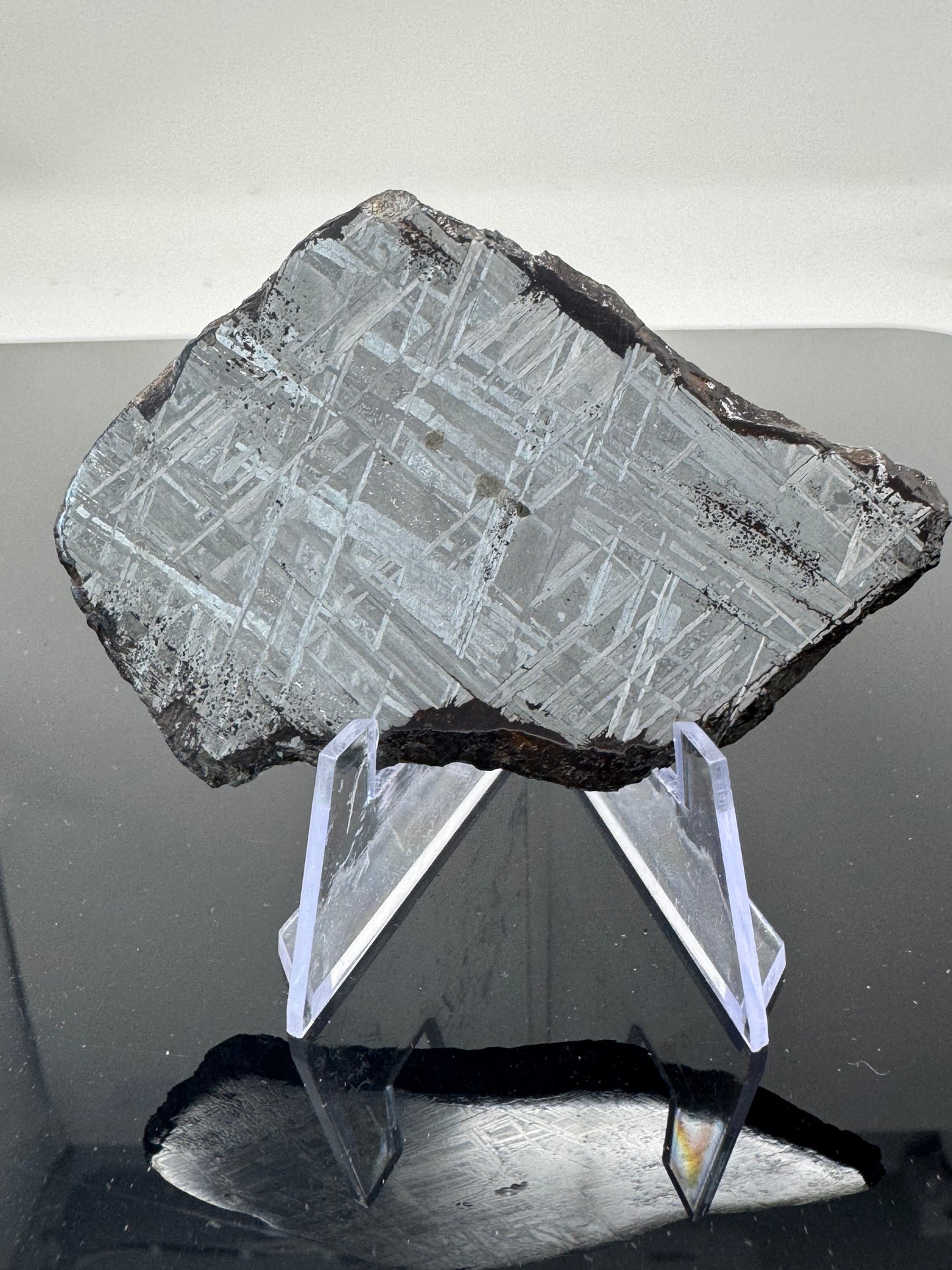 Muonionalusta Iron Meteorite - 50.9g Full Slice - From The Core Of An Asteroid!