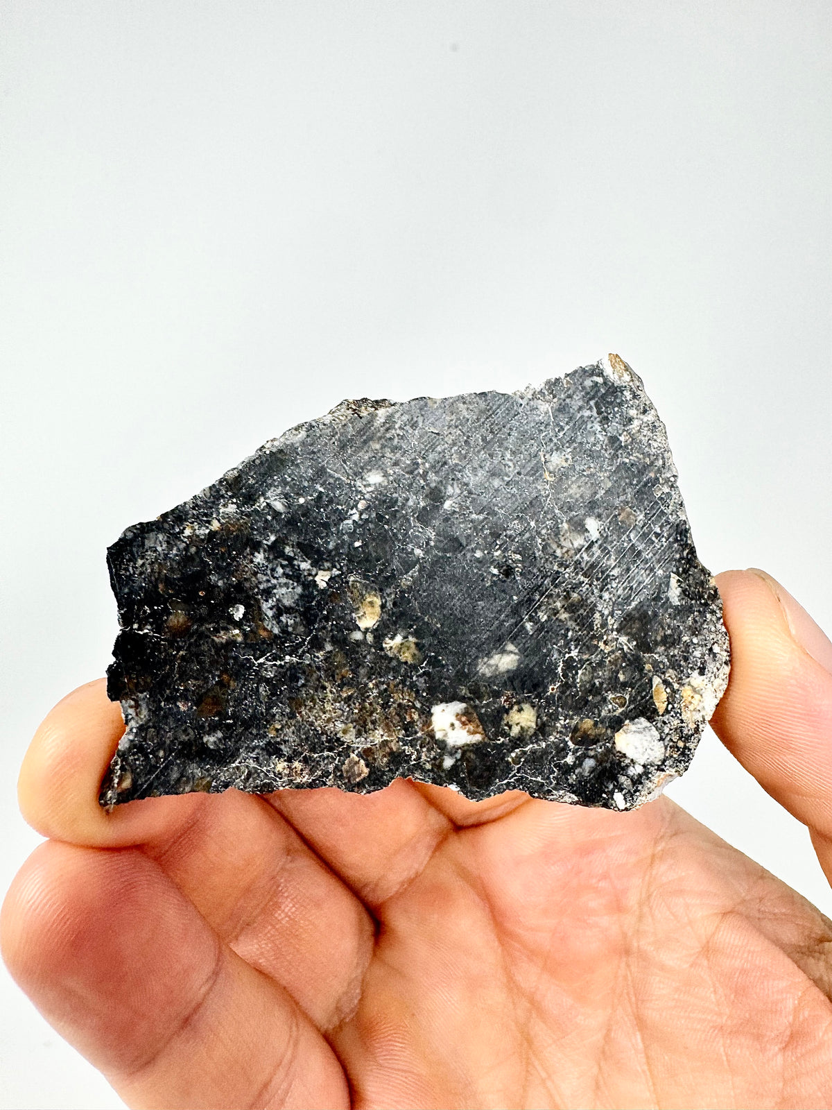 NEW: 18.5g Personal Classification of NWA 18785 Aubrite - Fragmental Monomict Breccia, Enstatite Achondrite Meteorite - Evidence of Possible Linkage To Planet Mercury