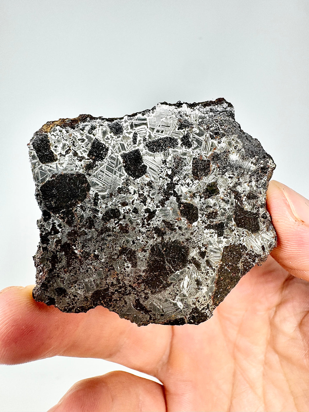 NEW! 32.7g Tessalit 001 - Extremely High Iron Winonaite Meteorite Under Study - A Primitive Achondrite!