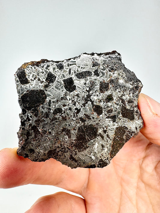 NEW! 32.7g Tessalit 001 - Extremely High Iron Winonaite Meteorite Under Study - A Primitive Achondrite!