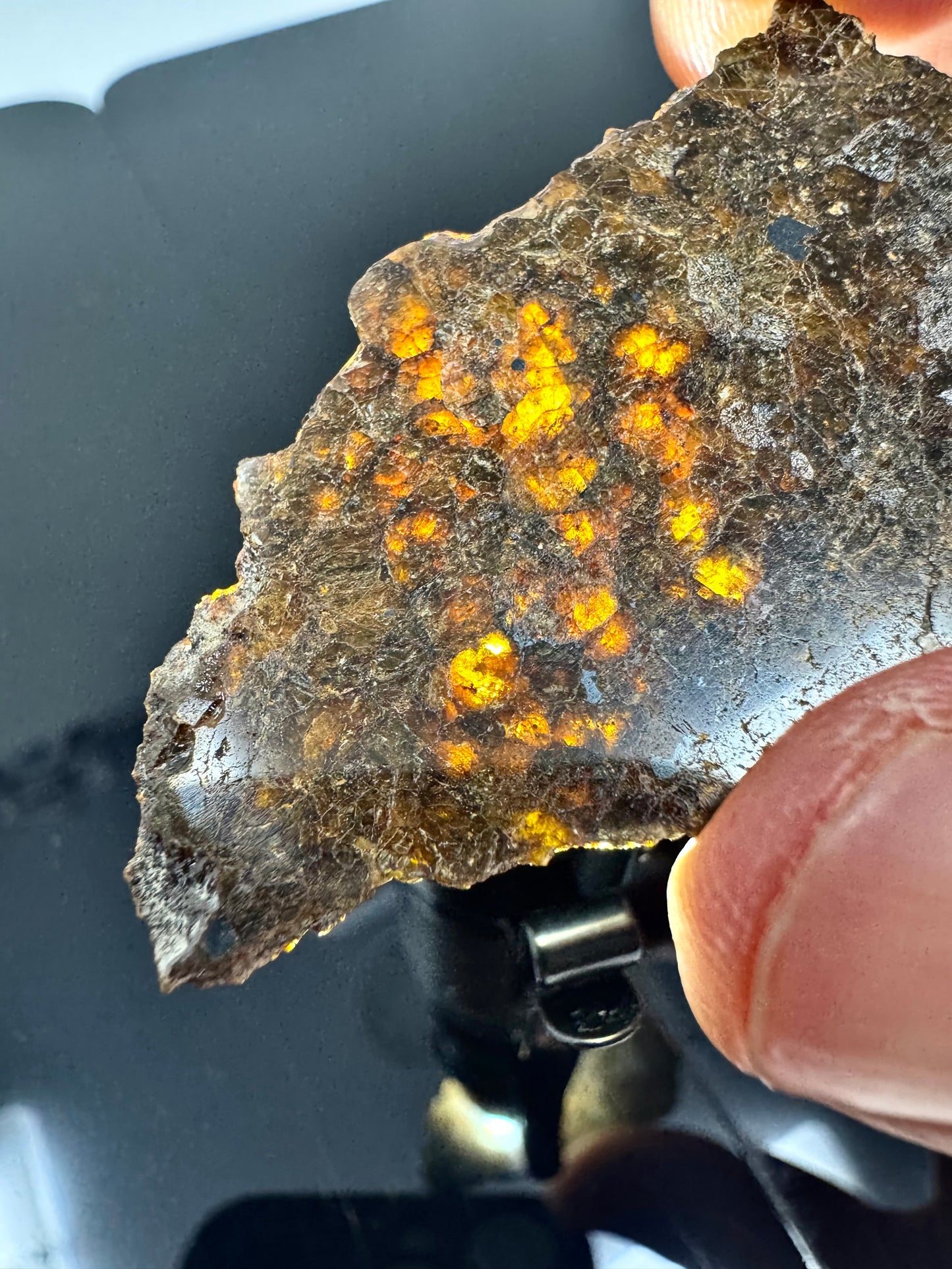 6.2g NWA 16317 Translucent Diogenite Meteorite - Parent Body: Asteroid Vesta