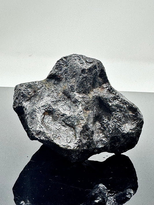 667.0g Campo Del Cielo Iron Meteorite - Beautiful Features And Regmyglypts - From The Core Of An Asteroid!