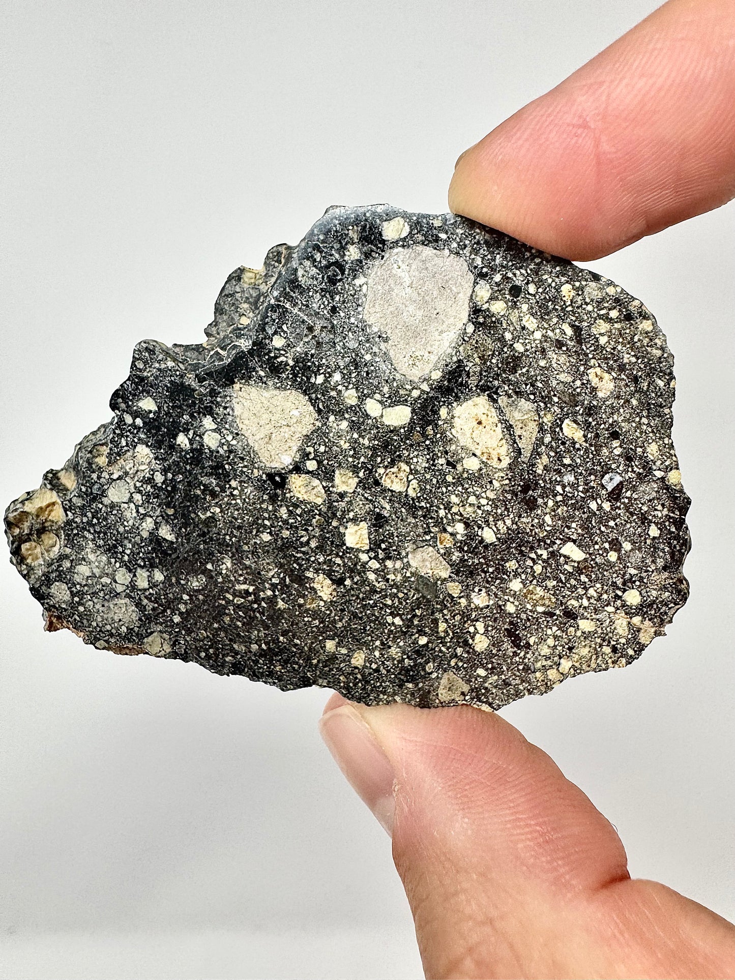 17.2g Stunning Diogenite Meteorite Under Classification - Beautiful Matrix! Parent Body: Asteroid Vesta