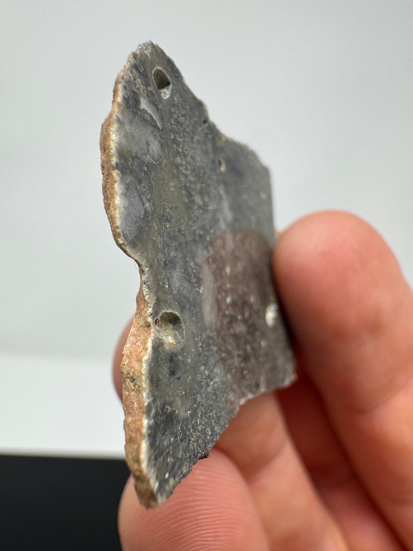 Nagjir 005 Lunar Melt Breccia - 5.3g - A Beautiful, Rare Lunar Meteorite From The Moon!