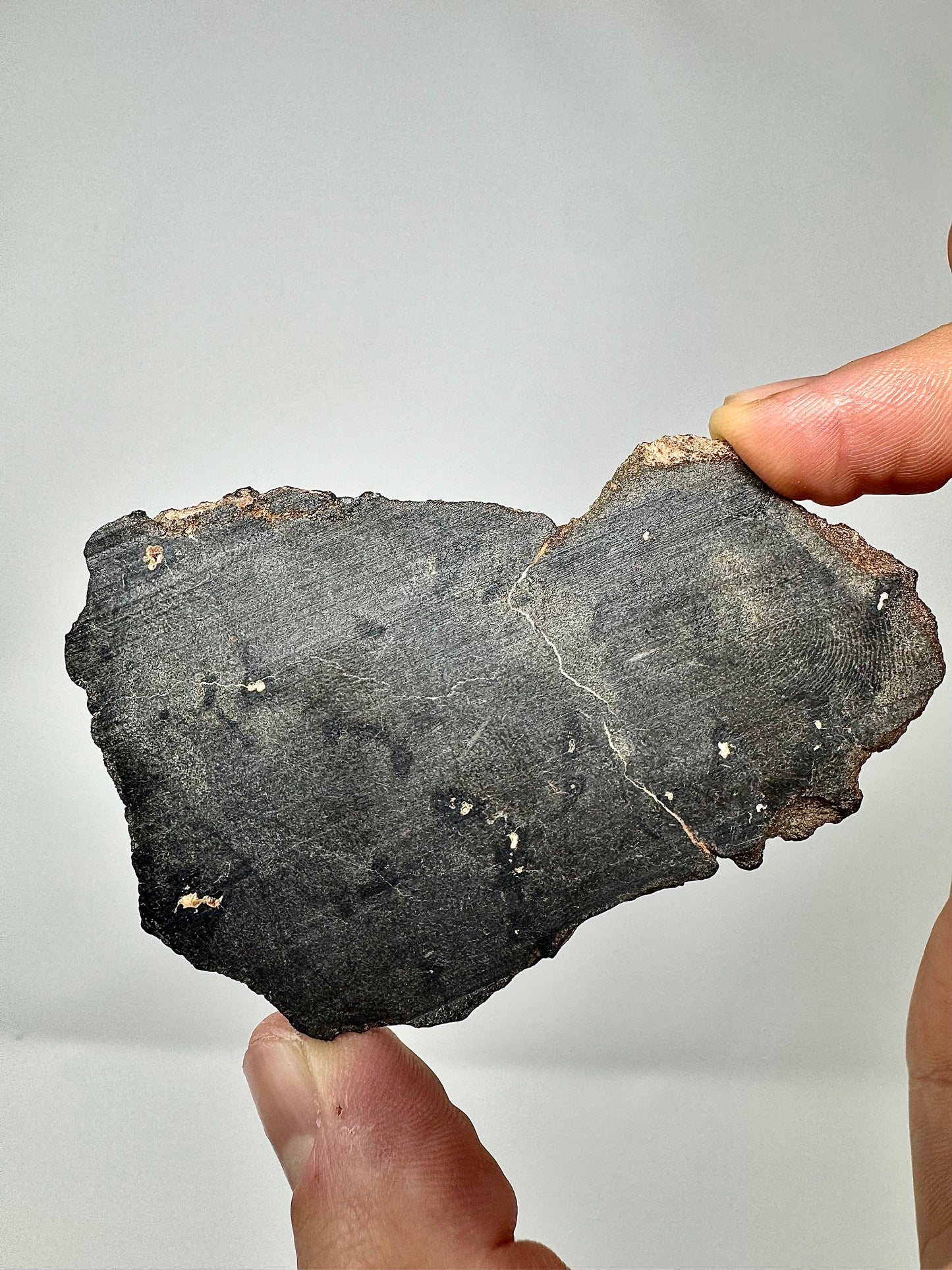 28.7g Genuine Martian Meteorite with Aqueous Alteration - FULL SLICE - Pending Classification - Scientifically Studied Rock From Planet Mars