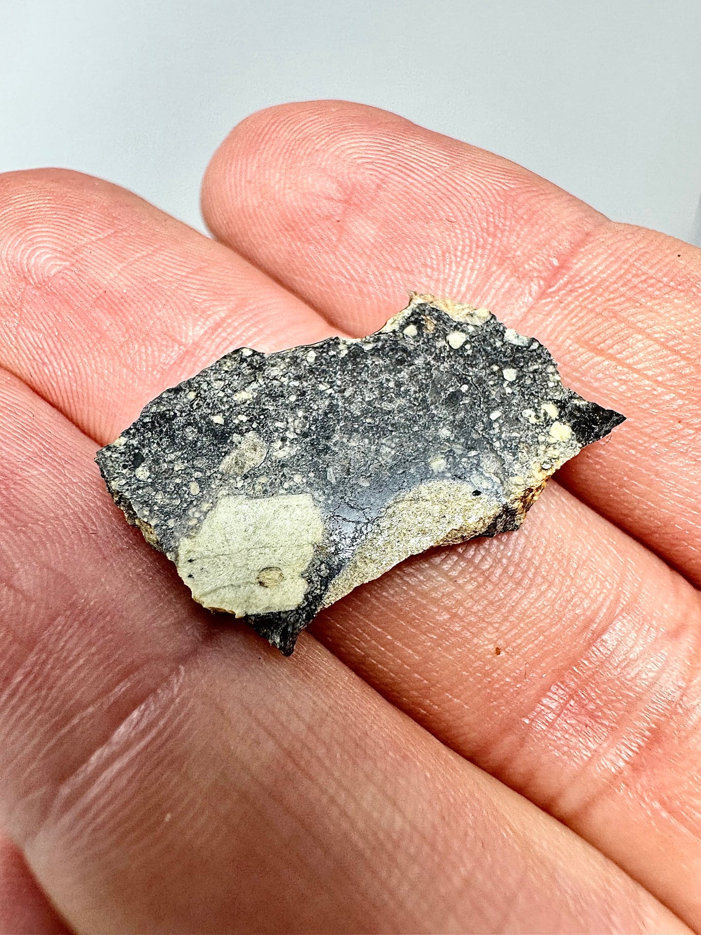 2.3g Stunning Diogenite Meteorite Under Classification - Beautiful Matrix! Parent Body: Asteroid Vesta