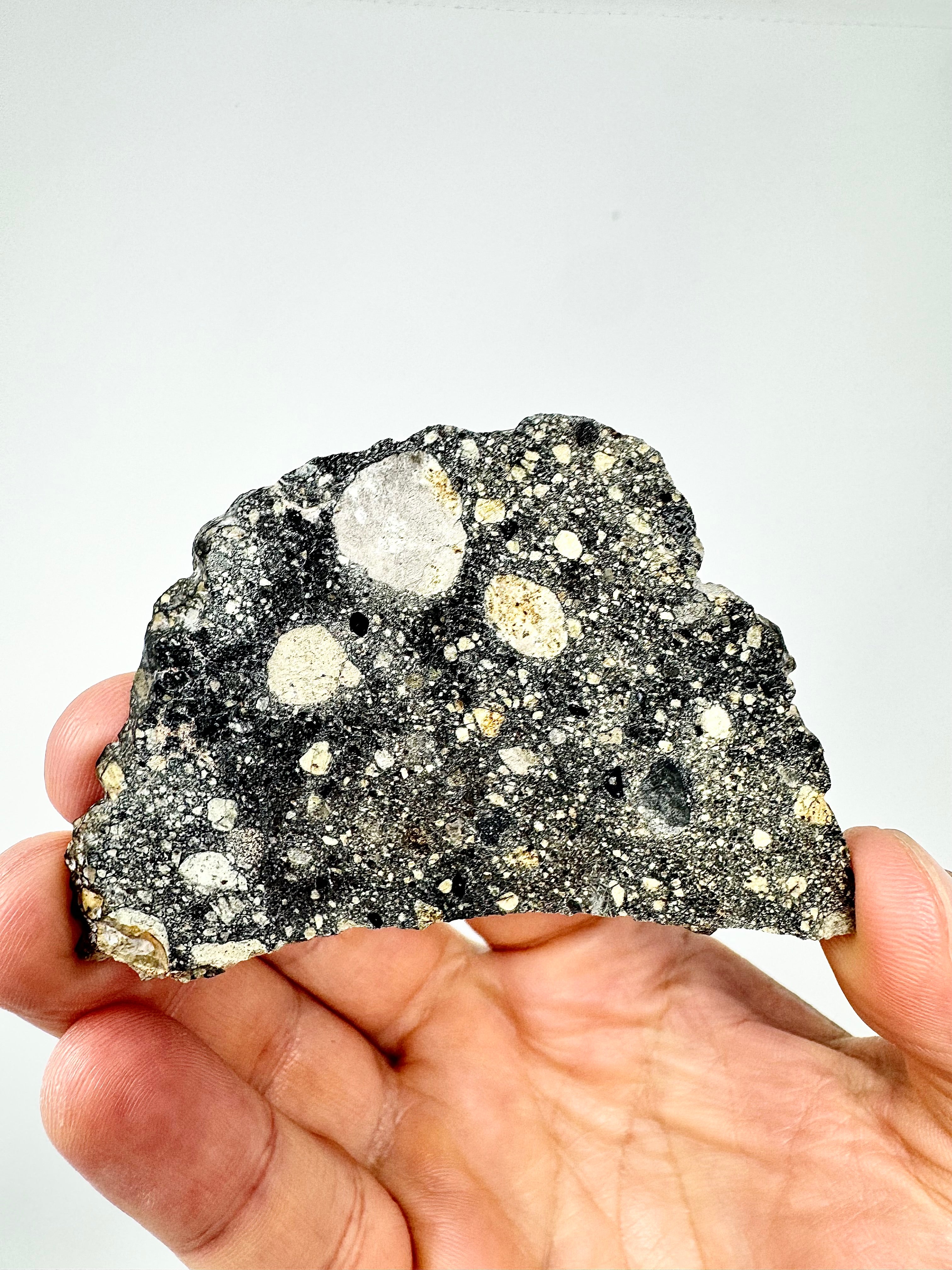 The Interstellar Collection of Meteorites - Newest Arrivals