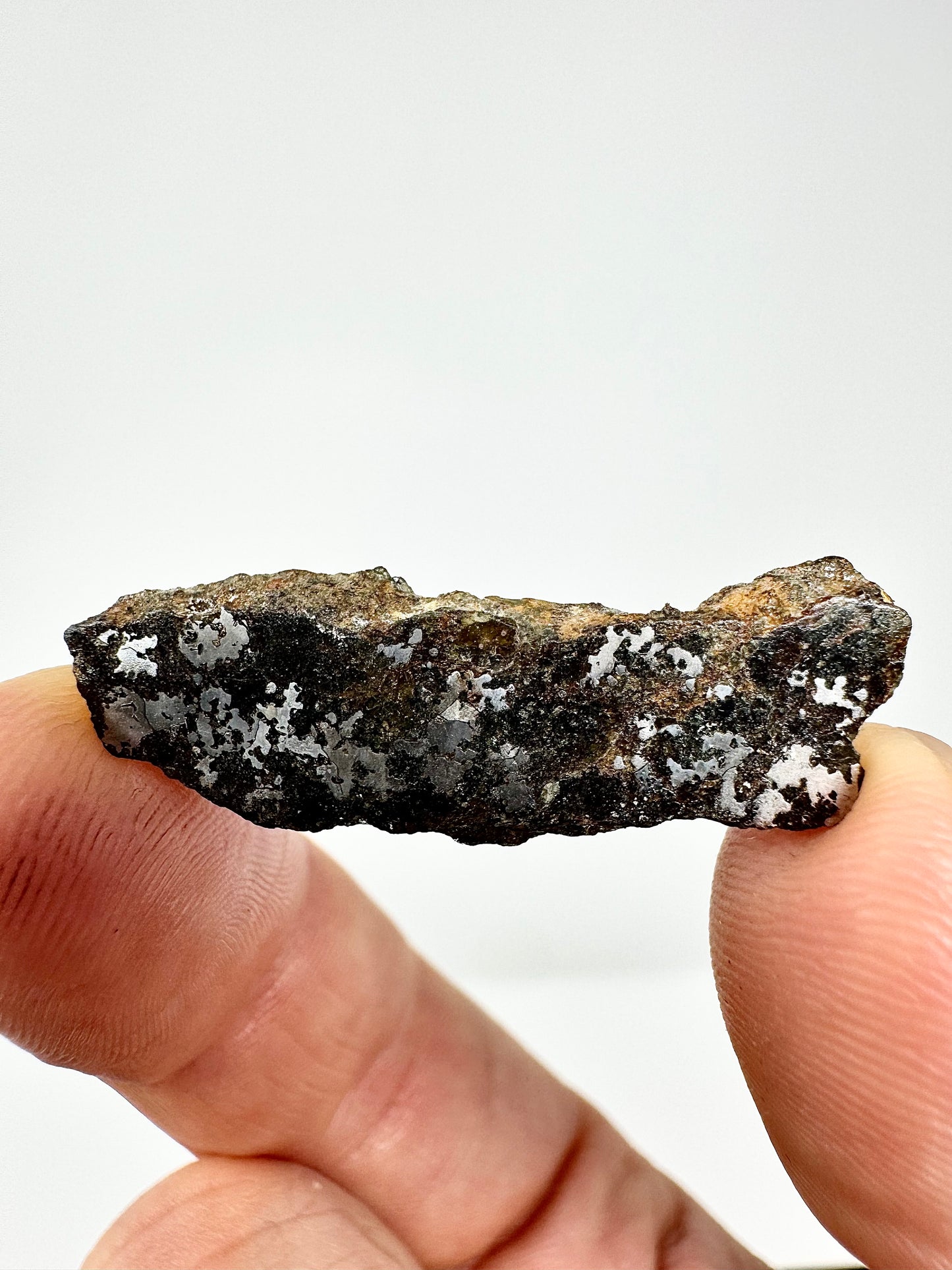 The Famous Bondoc Mesosiderite Meteorite - 2.9g