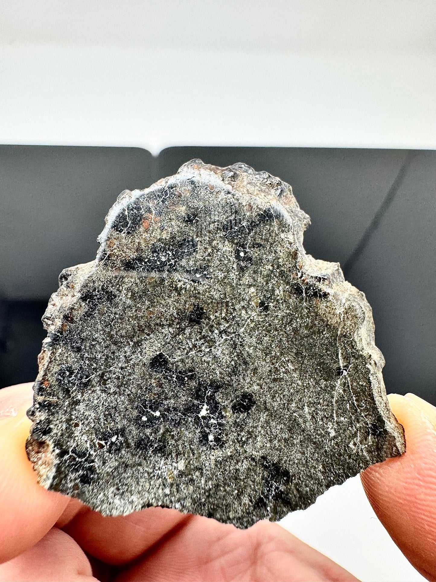 NEW: 7.5g Genuine Martian Meteorite - Scientifically Studied Rock From Planet Mars w/ Aqueous Alteration - NWA 18281