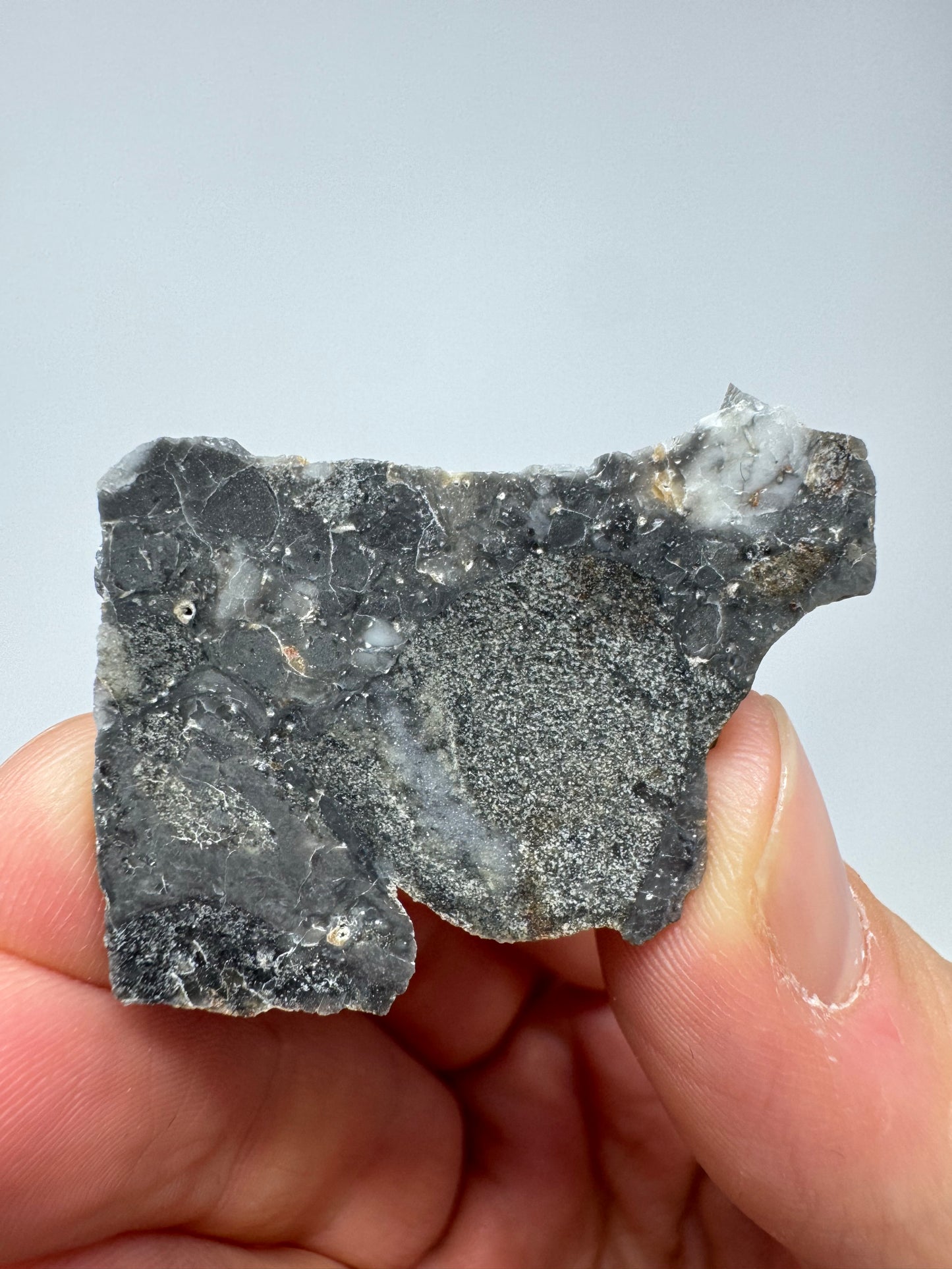Nagjir 005 Lunar Melt Breccia - 5.1g “The Polar Bear” - A Beautiful, Rare Lunar Meteorite From The Moon!