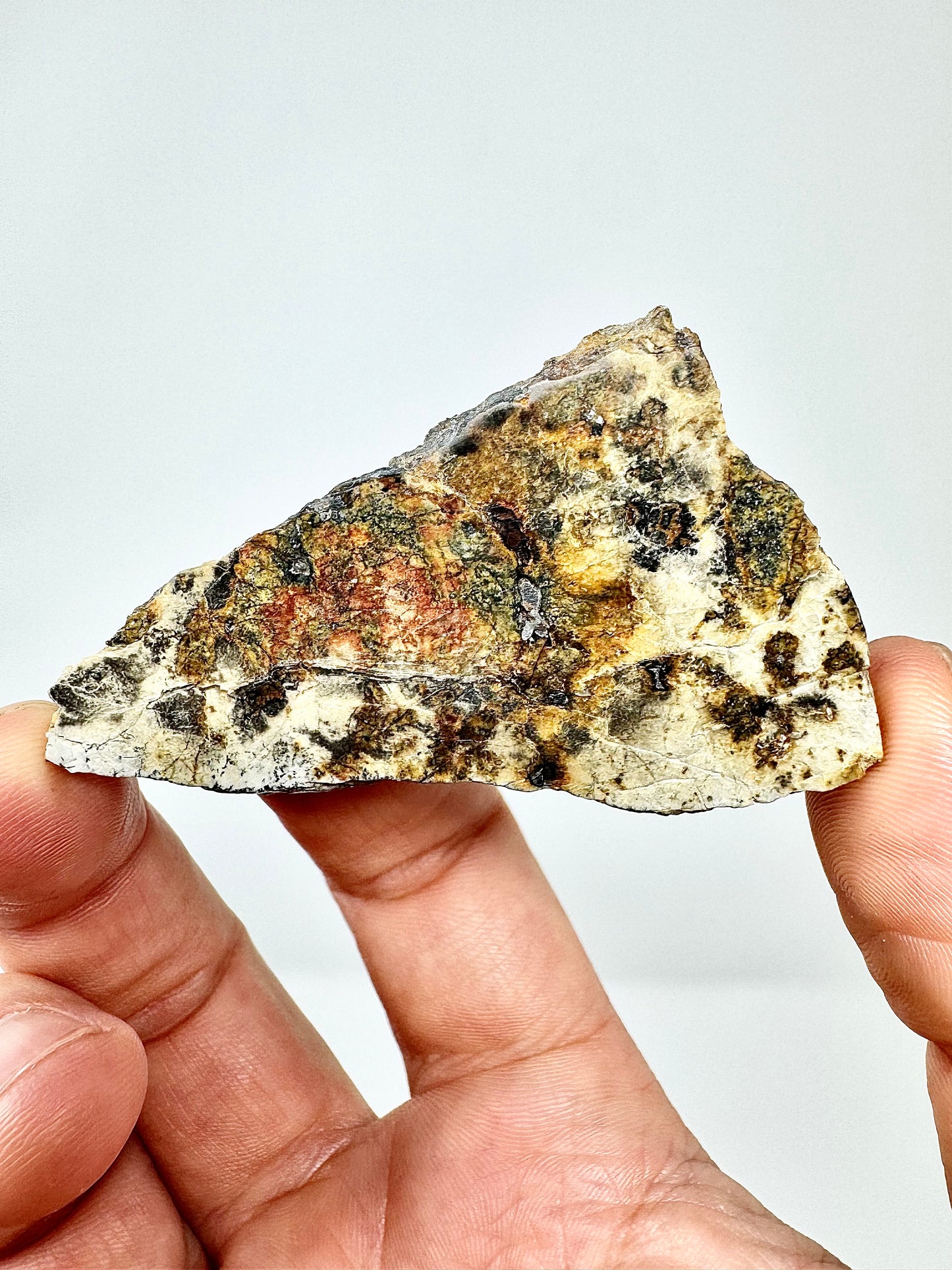 26.6g Djoua 001 Enstatite Achondrite Meteorite - Thick Cut! Evidence of Planet Mercury - Marble Appearance