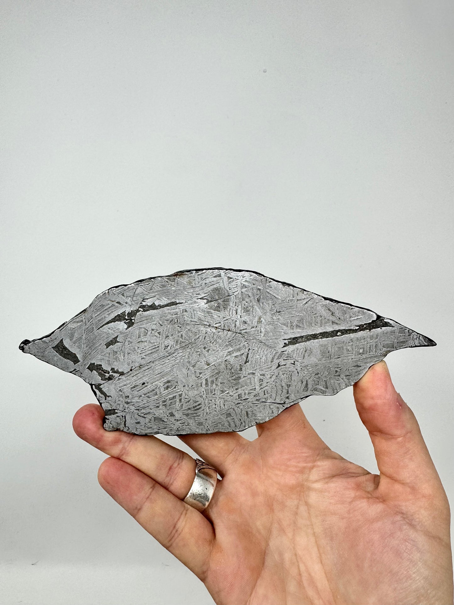 288.5g Aletai Meteorite - Beautiful Pattern - From The Core Of An Asteroid!