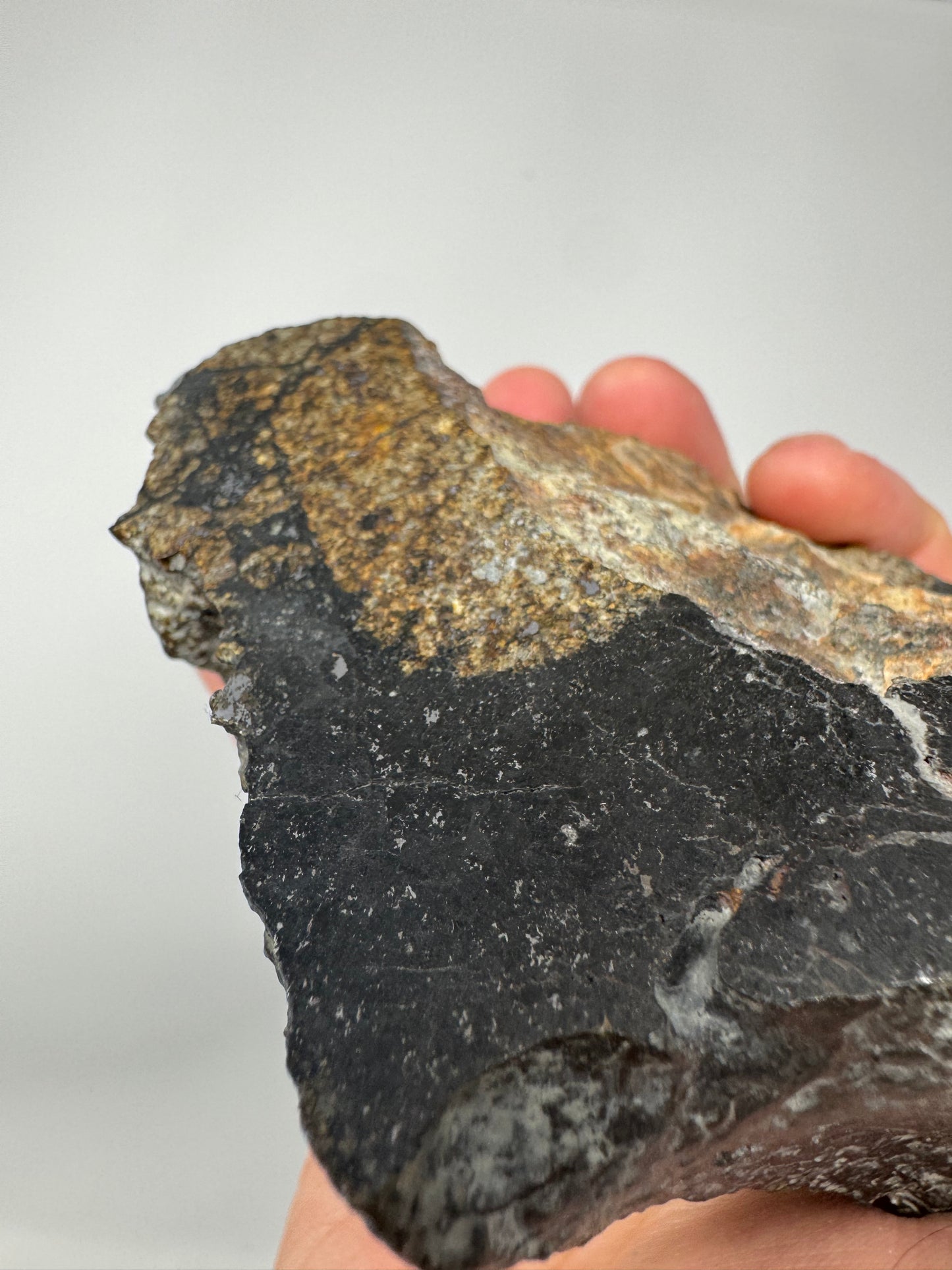 NEW! NWA 17273 Massive L5 Melt Breccia Meteorite End Cut w/ Jet Black Fusion Crust - From An Asteroid! 964.5g