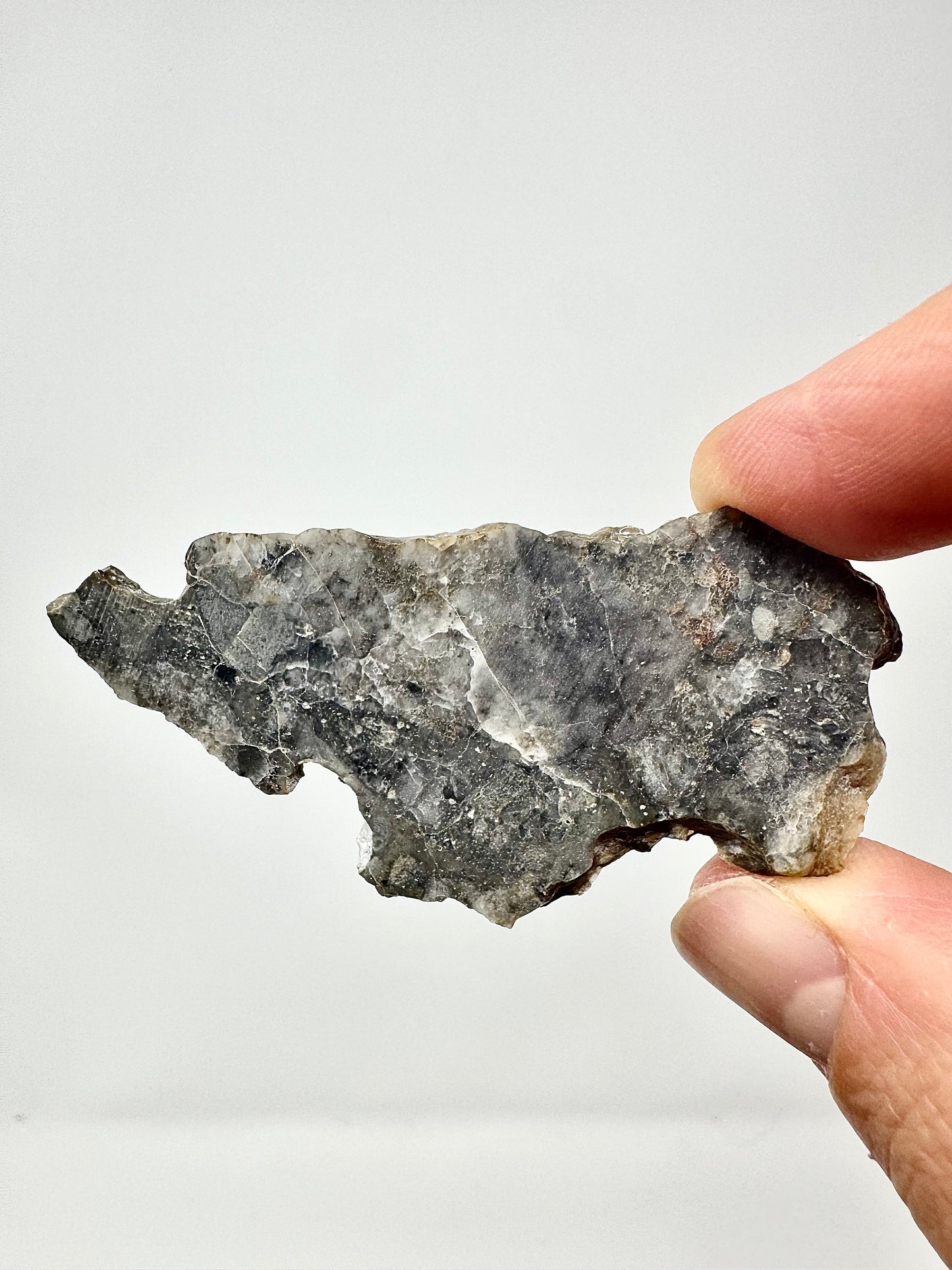 Adrar 013 Lunar Meteorite - A Rare Gabbro/Norite - From Our Moon! 7.8g