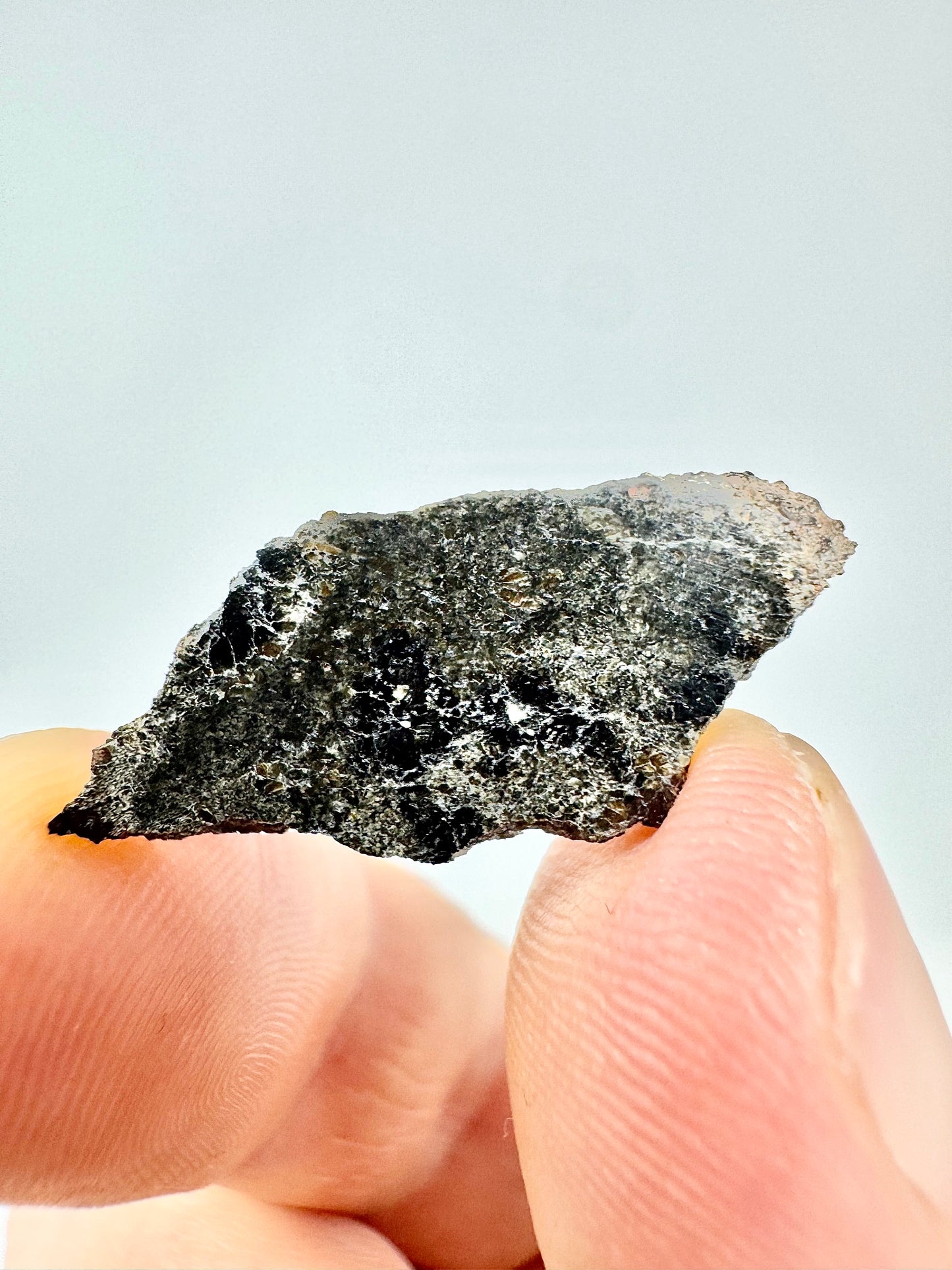 NEW: 1.4g Genuine Martian Meteorite - Scientifically Studied Rock From Planet Mars w/ Aqueous Alteration - NWA 18281