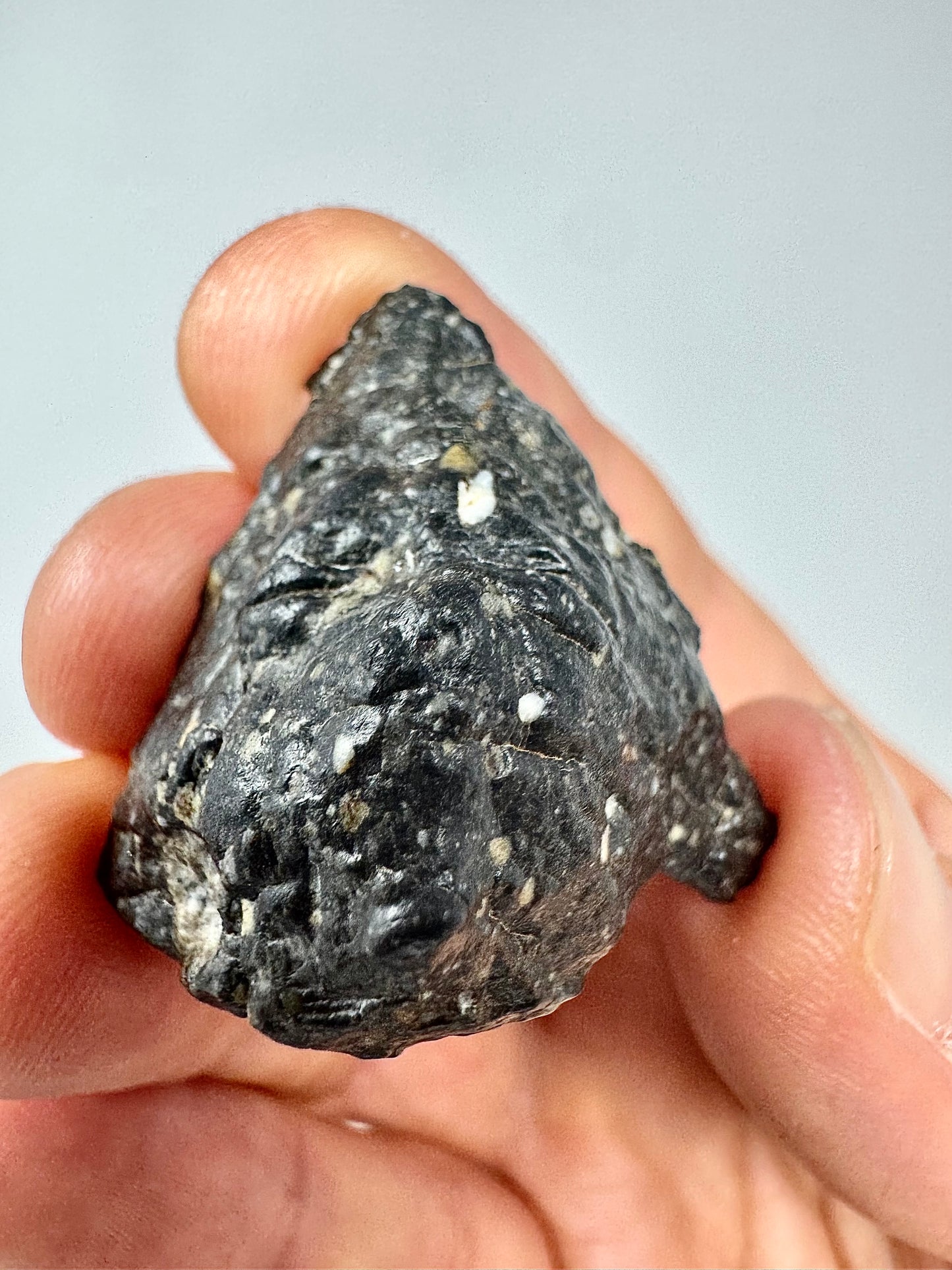 NEW! 12.3g Newly Discovered Lunar Breccia - 1 Of Only Two End Cuts! A Genuine Piece Of Our Moon!