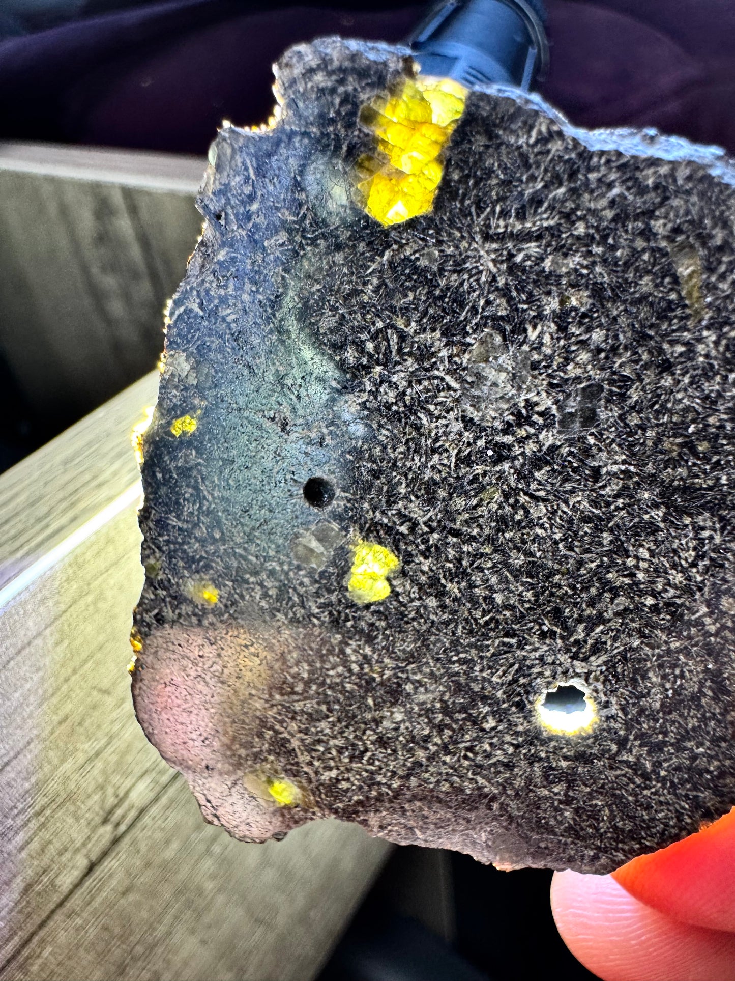 NEA 120 Full Slice - A Rare, Vesicular Angrite Meteorite w/ Needle-Like Matrix And Translucent Crystals! 13.0g