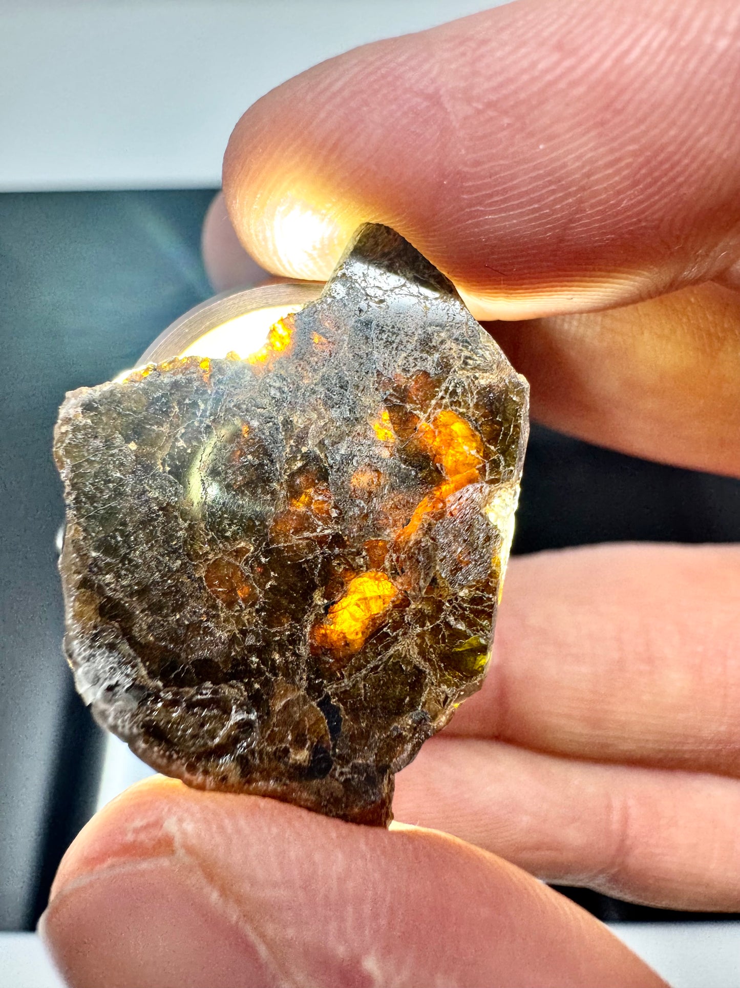 2.9g NWA 16317 Translucent Diogenite Meteorite - Parent Body: Asteroid Vesta