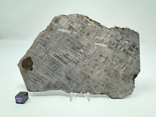 Muonionalusta Iron Meteorite - 759.8g - Thick Cut!