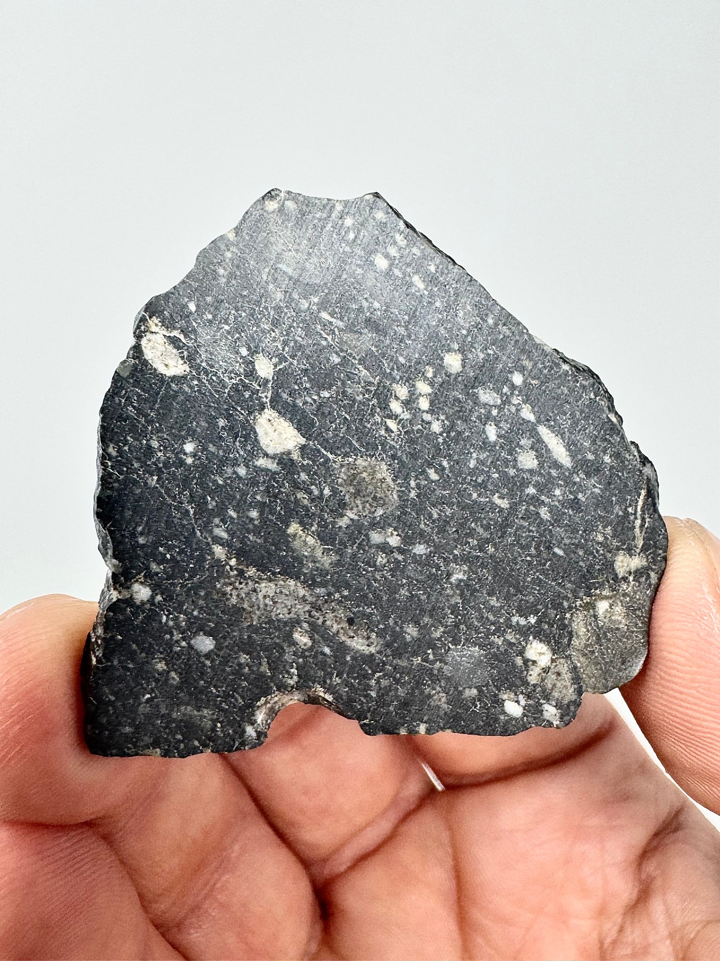 NEW! 7.2g Newly Discovered Lunar Breccia - FULL SLICE - A Genuine Piece Of Our Moon!
