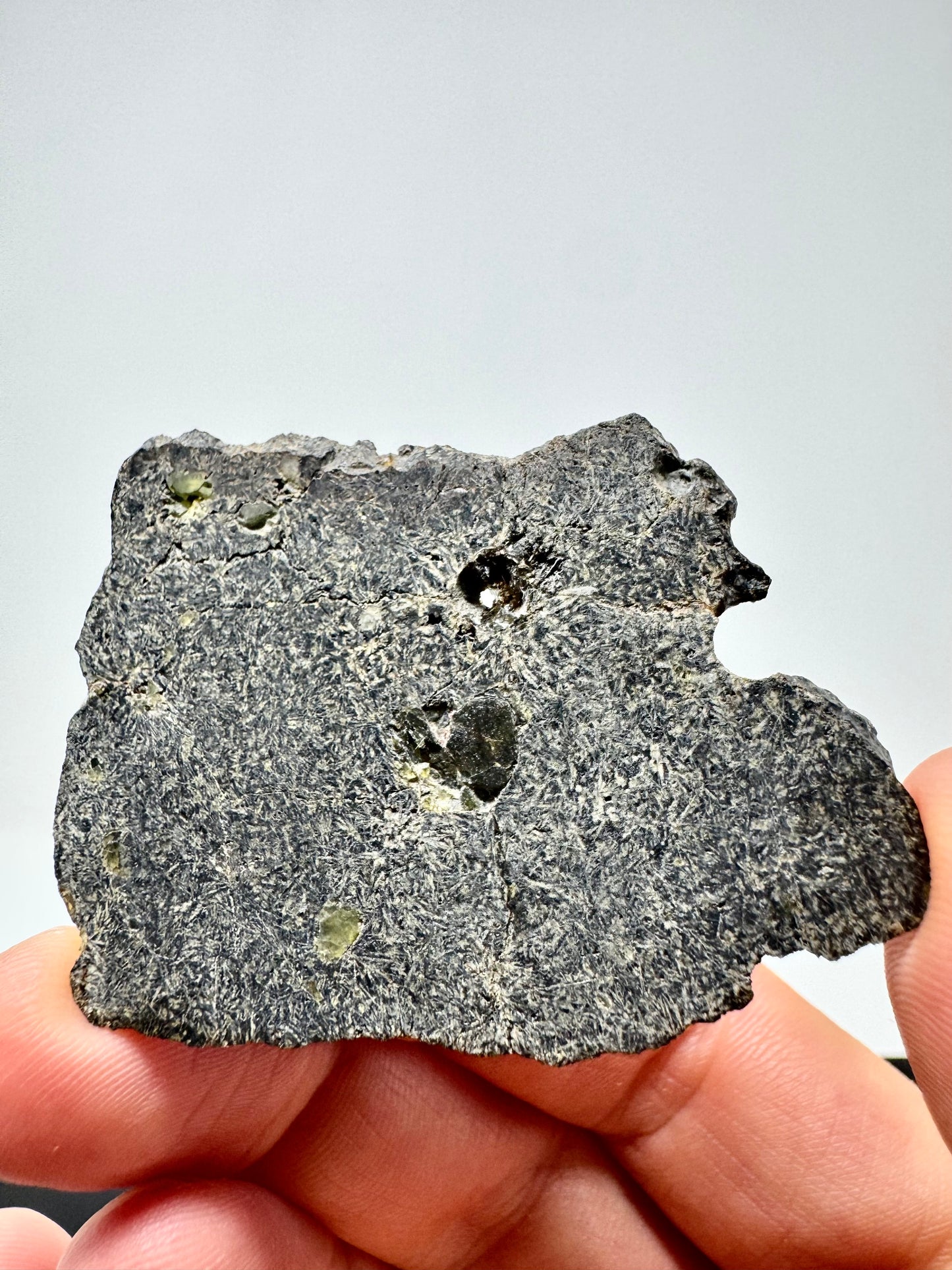 NEA 120 Full Slice - A Rare, Vesicular Angrite Meteorite w/ Needle-Like Matrix And Translucent Crystals! 10.0g