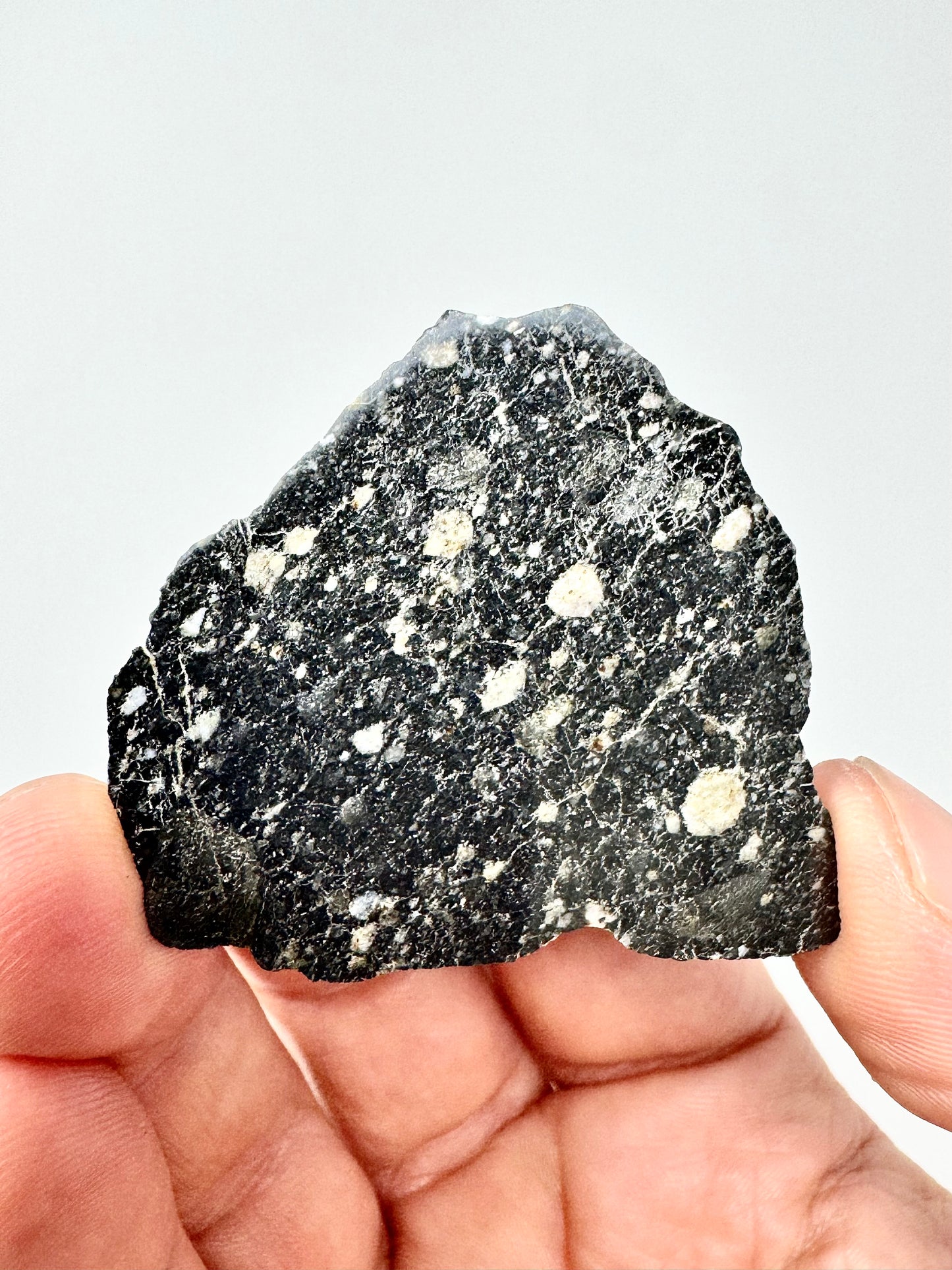 NEW! 7.2g Newly Discovered Lunar Breccia - FULL SLICE - A Genuine Piece Of Our Moon!