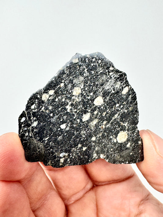 NEW! 7.2g Newly Discovered Lunar Breccia - FULL SLICE - A Genuine Piece Of Our Moon!