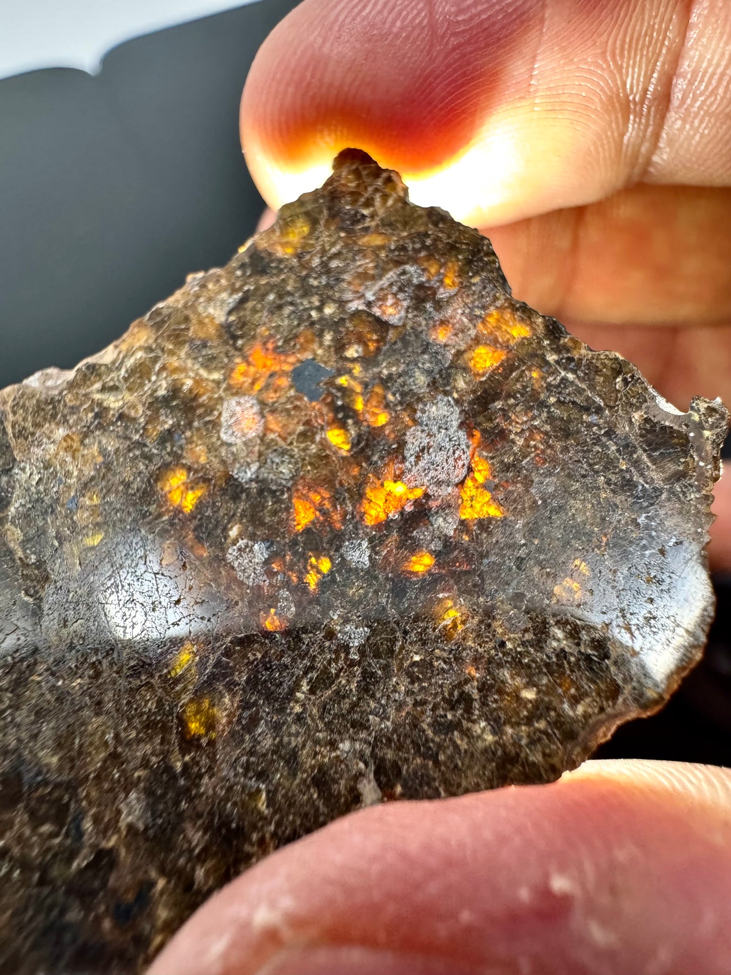 6.2g NWA 16317 Translucent Diogenite Meteorite - Parent Body: Asteroid Vesta