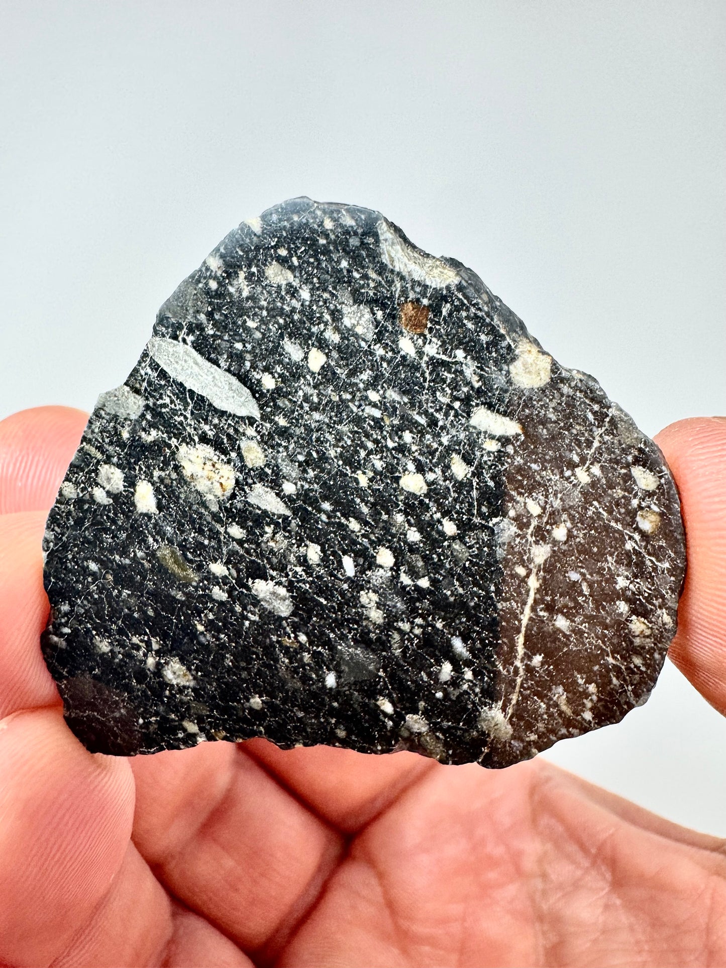 NEW! 8.4g Newly Discovered Lunar Breccia - FULL SLICE - A Genuine Piece Of Our Moon!