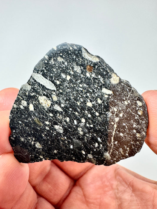 NEW! 8.4g Newly Discovered Lunar Breccia - FULL SLICE - A Genuine Piece Of Our Moon!