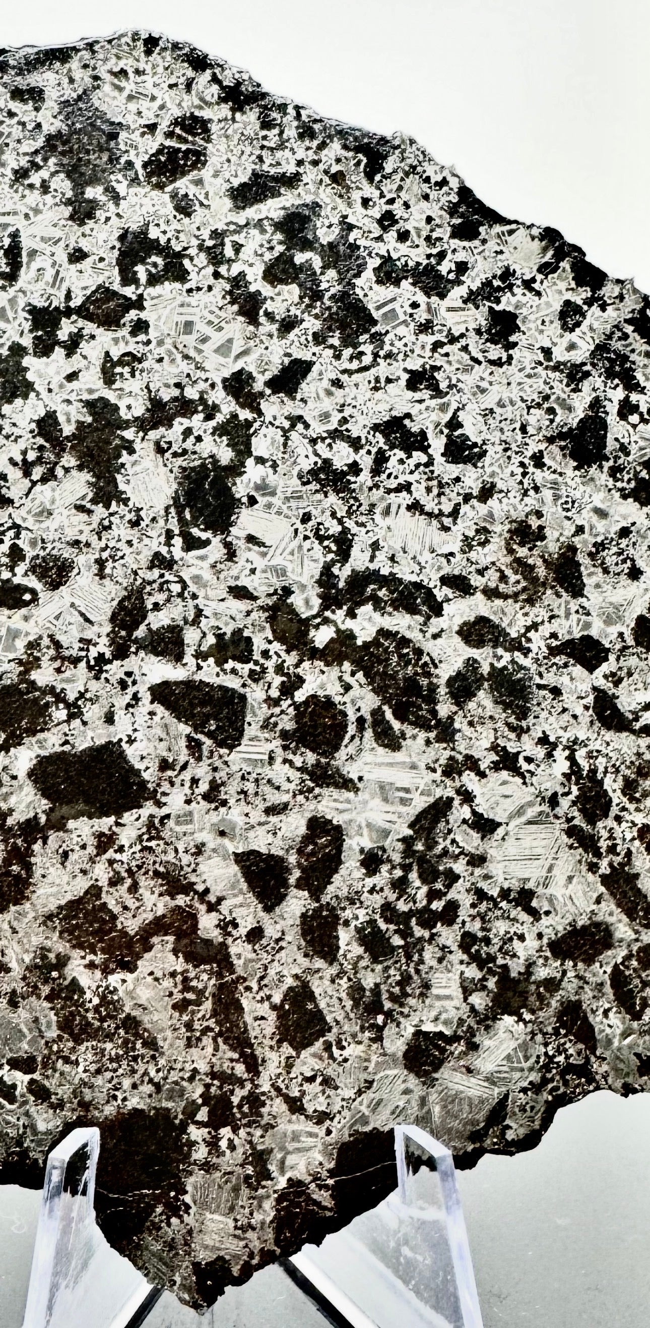 NEW! 228.6g Extremely High Iron Winonaite Meteorite Under Study - A Primitive Achondrite!