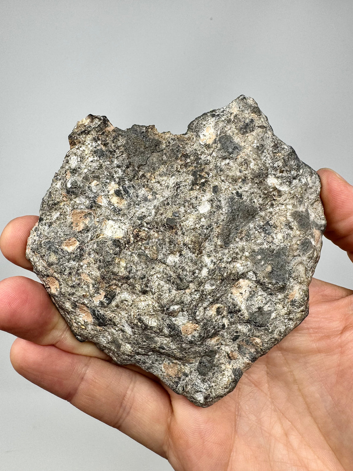 NEW!  223.9g END CUT (Second Largest Mass) Jaw-Dropping Personal Classification of NWA 18785 Aubrite - Fragmental Monomict Breccia, Enstatite Achondrite Meteorite - Evidence of Possible Linkage To Planet Mercury