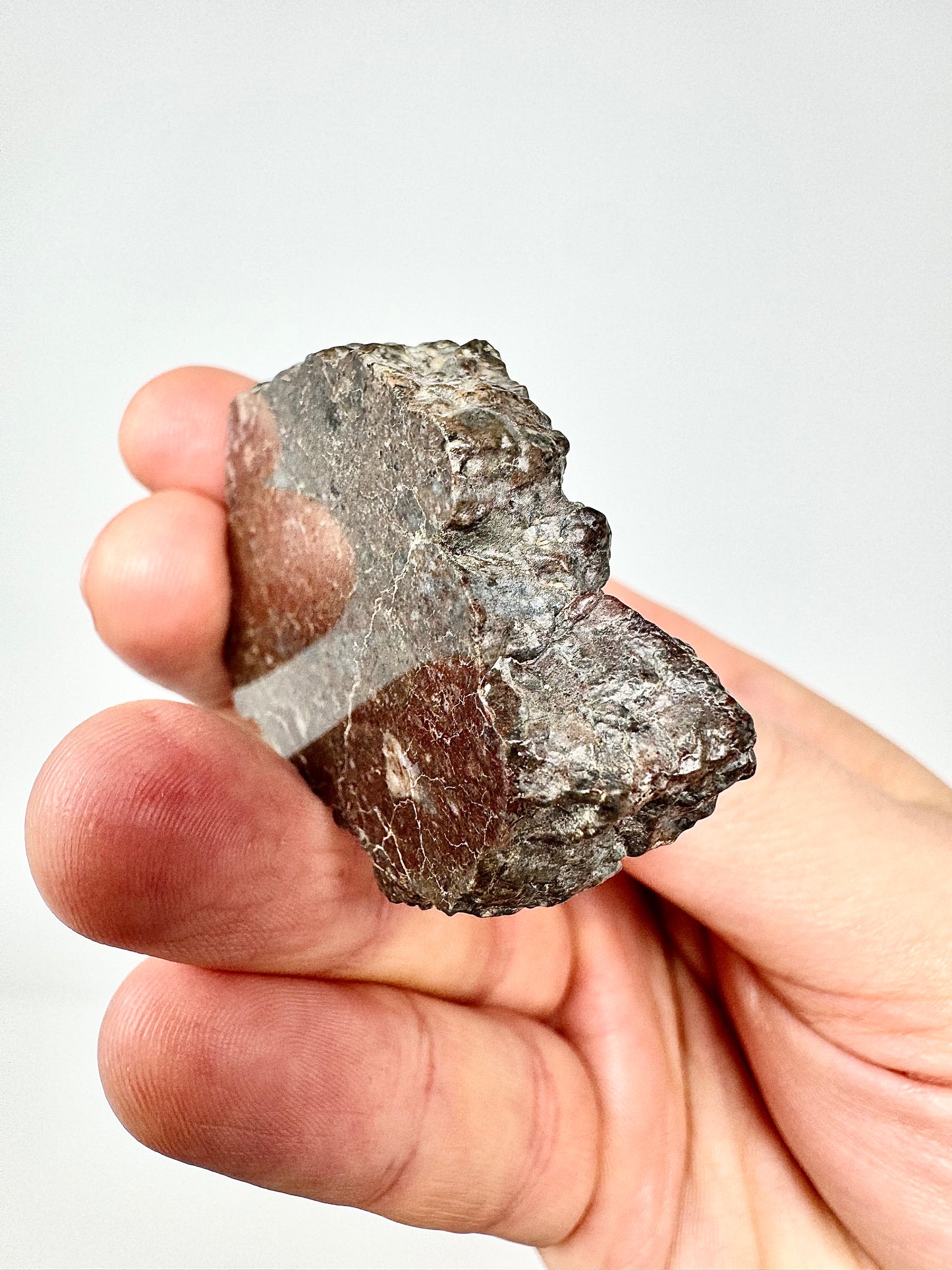 Laâyoune 002 Lunar Meteorite - POLISHED END CUT - Beautiful Shades Of Red - 55.5g