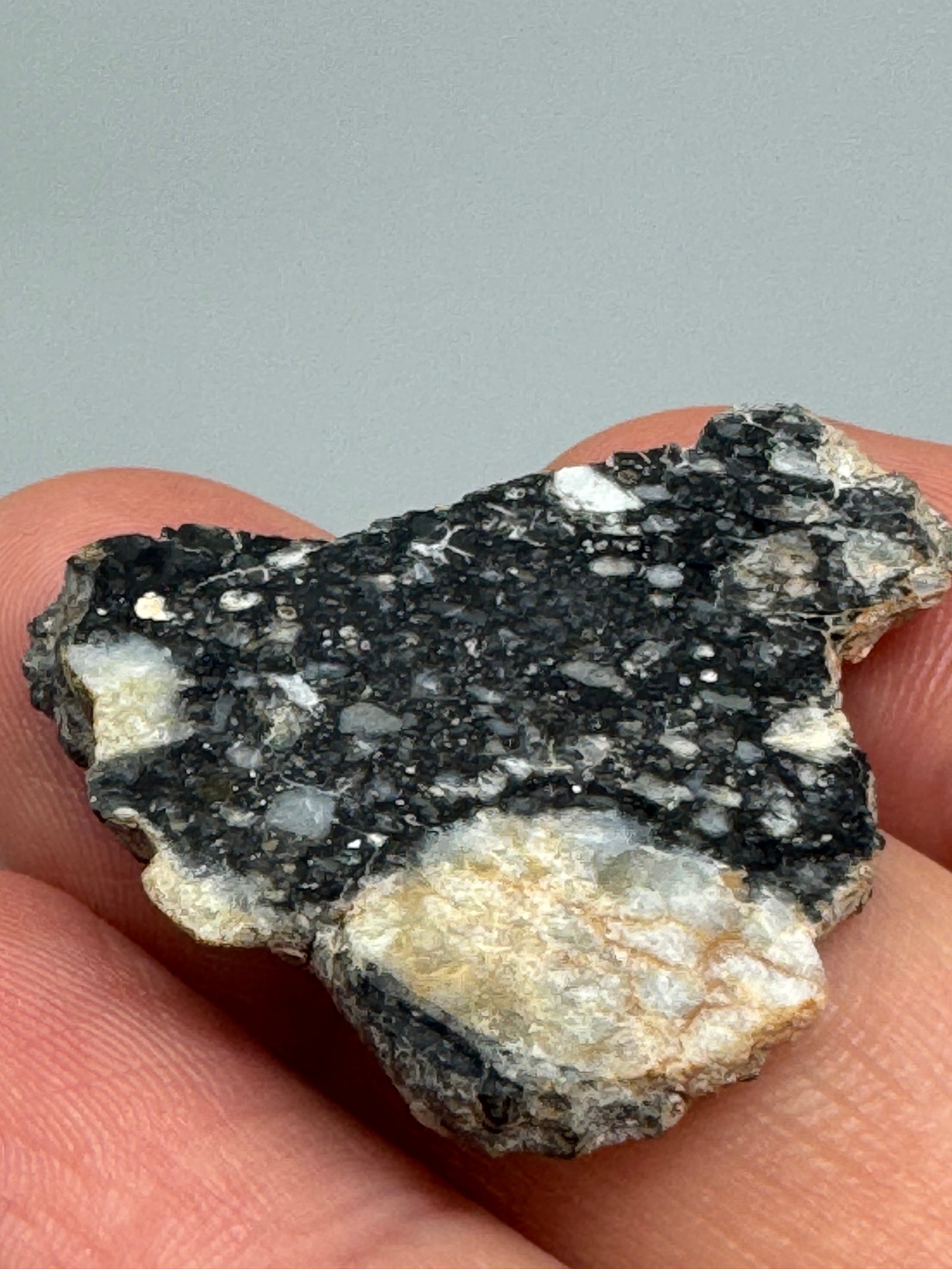 Stunning 3.5g NWA 14685 Lunar Fragmental Breccia - Full Slice - A Chunk Of Our Moon!