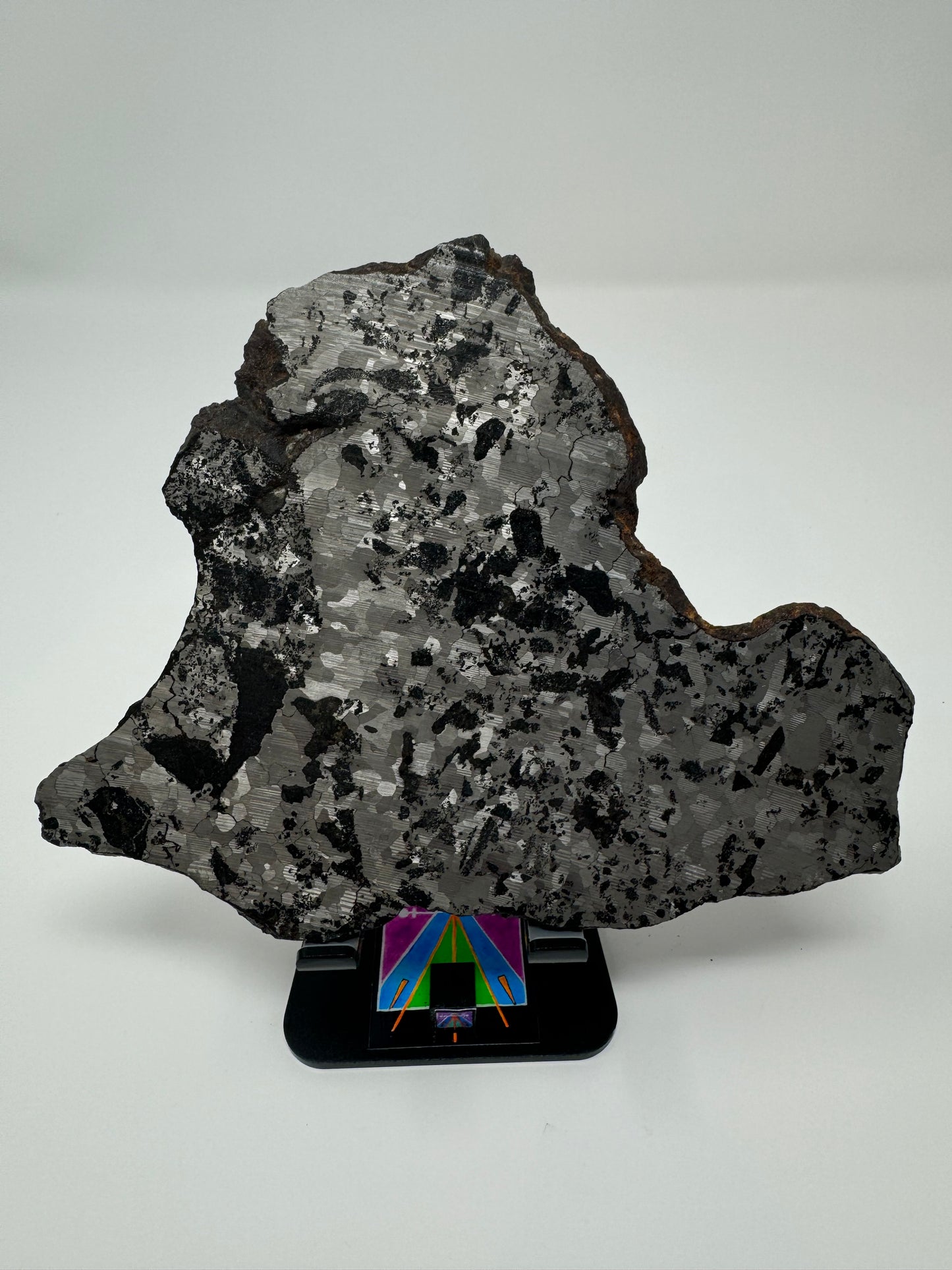 NWA 5549 Silicated Iron Meteorite - 252.9g Full Slice!