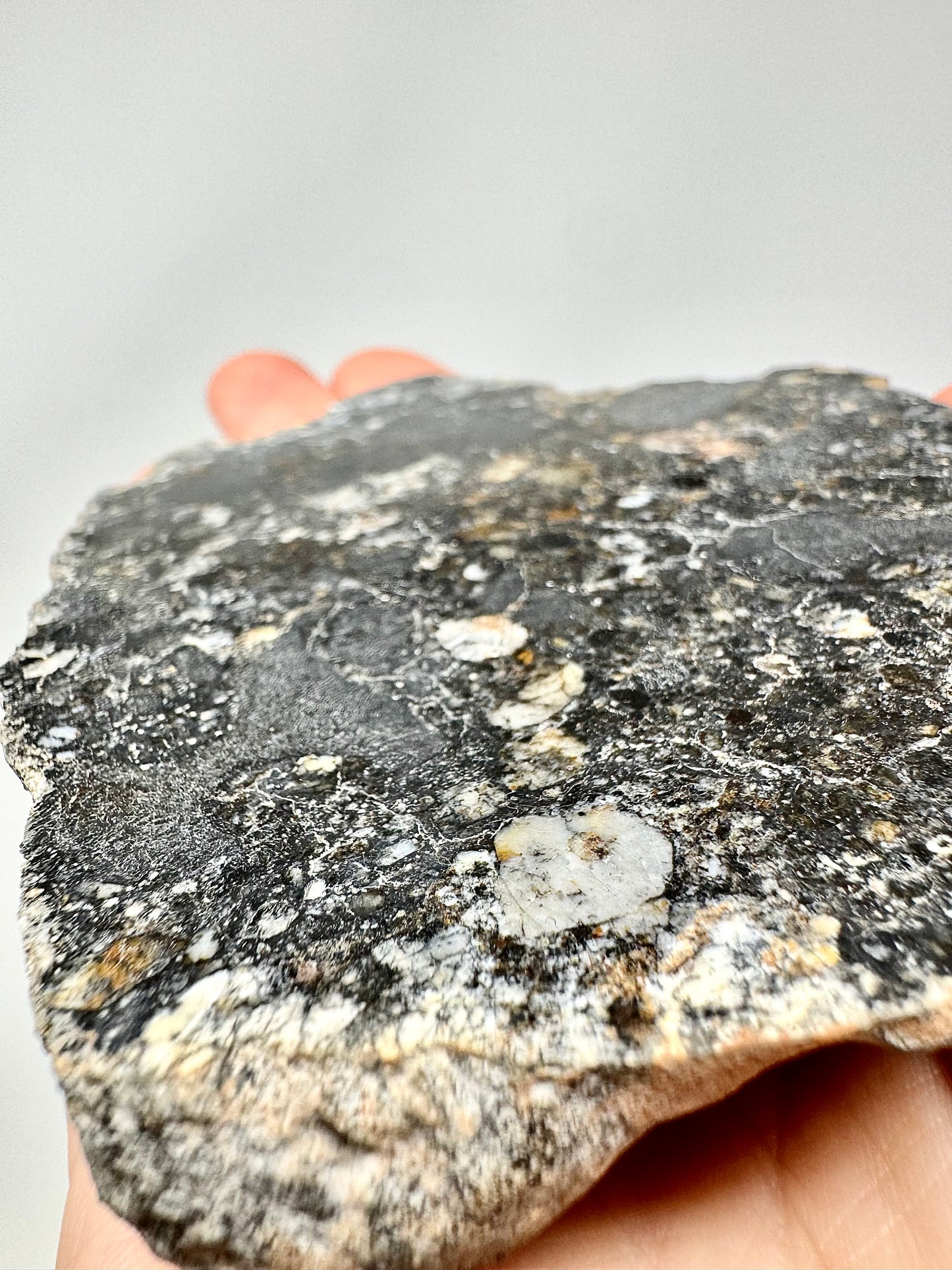 NEW!  223.9g END CUT (Second Largest Mass) Jaw-Dropping Personal Classification of NWA 18785 Aubrite - Fragmental Monomict Breccia, Enstatite Achondrite Meteorite - Evidence of Possible Linkage To Planet Mercury